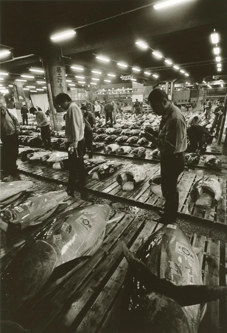 Tsukiji 8.jpeg