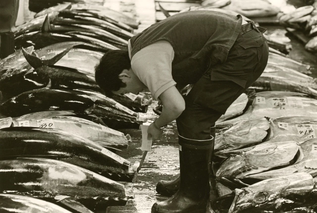 Tsukiji 9.jpeg