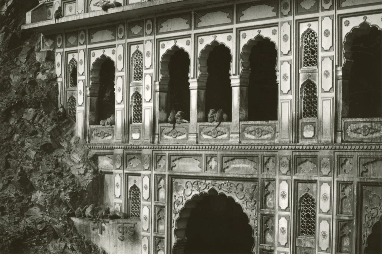 Rajasthan Monkey Palace.jpeg