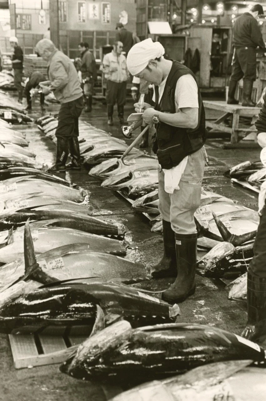 Tsukiji 11.jpeg