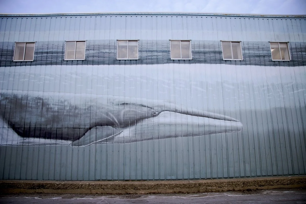 PortlandWhale.jpg