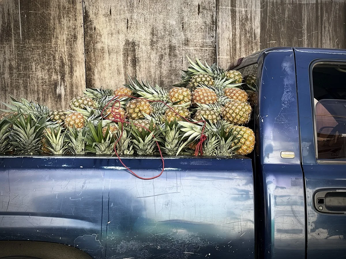 PineapplePickup.jpg