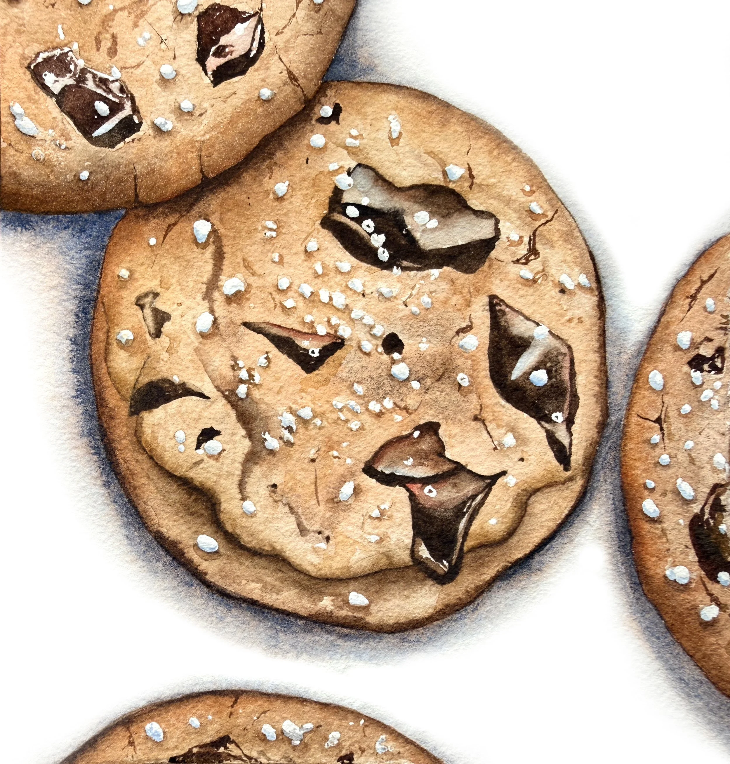 Chocolate Chip Cookies