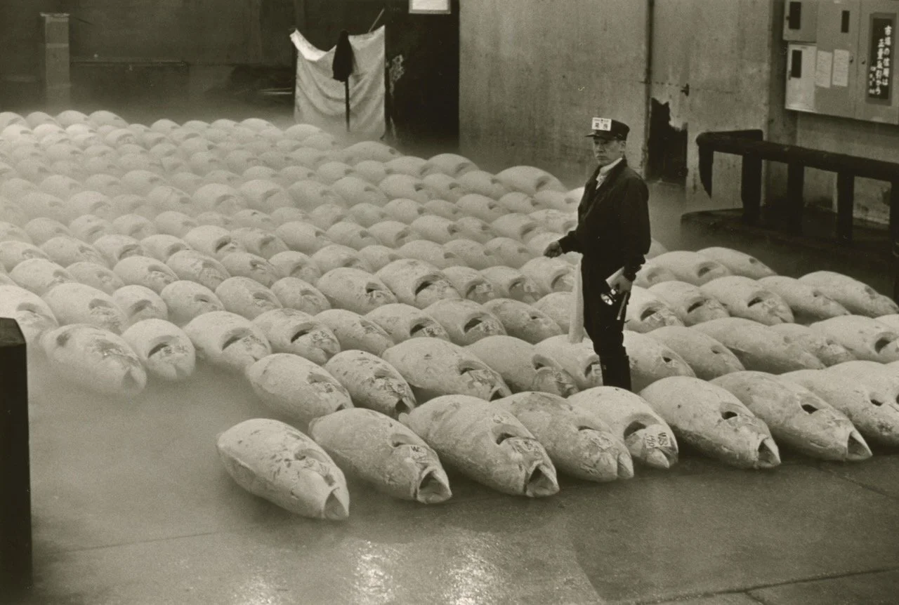 Tsukiji 6.jpeg