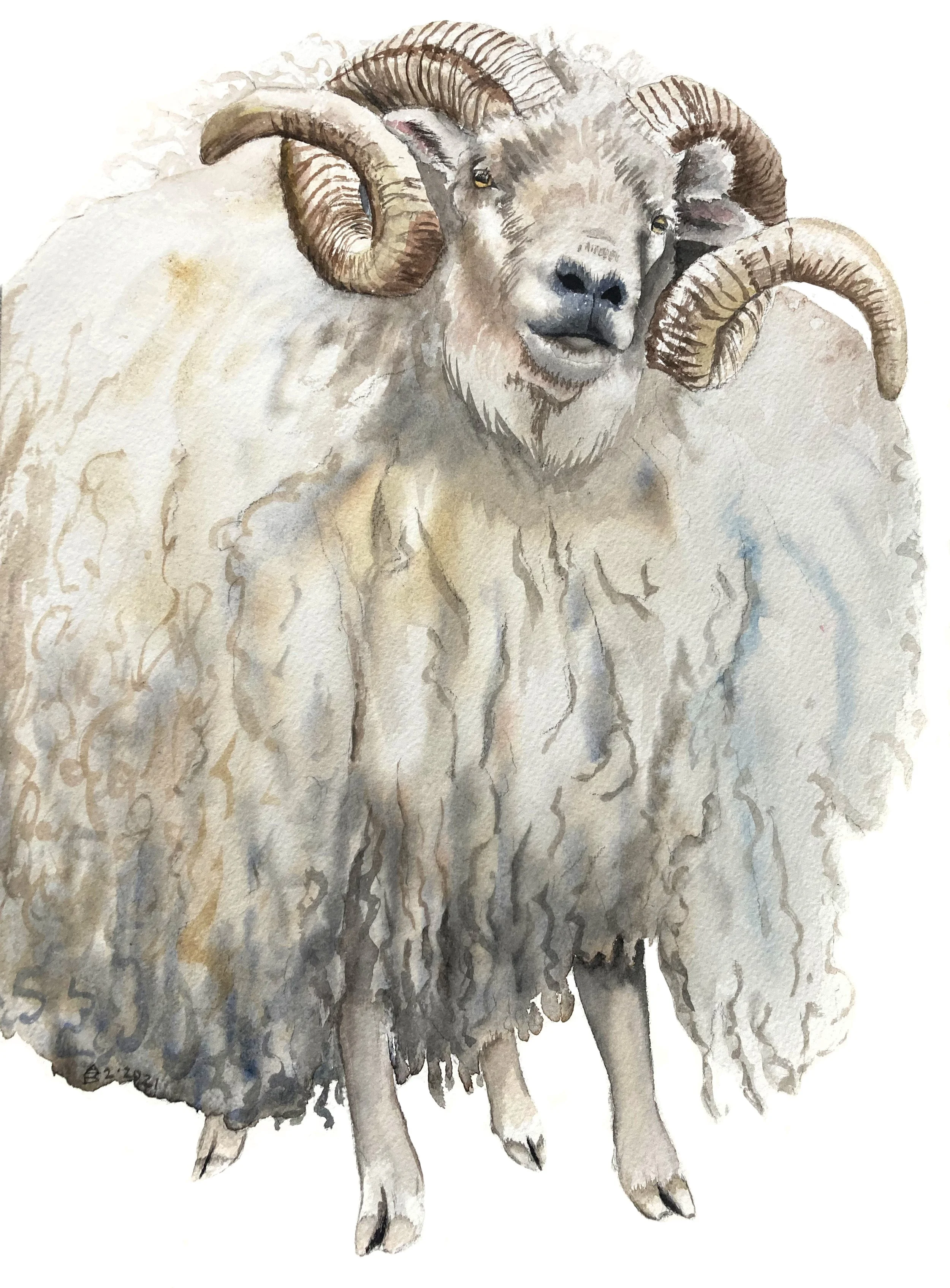 Ram (a-lamb-a-ding-dong)