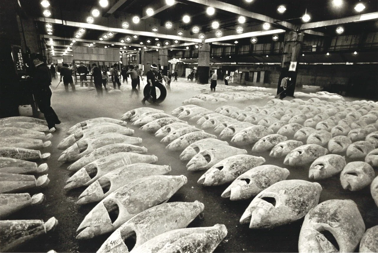 Tsukiji 2.jpeg