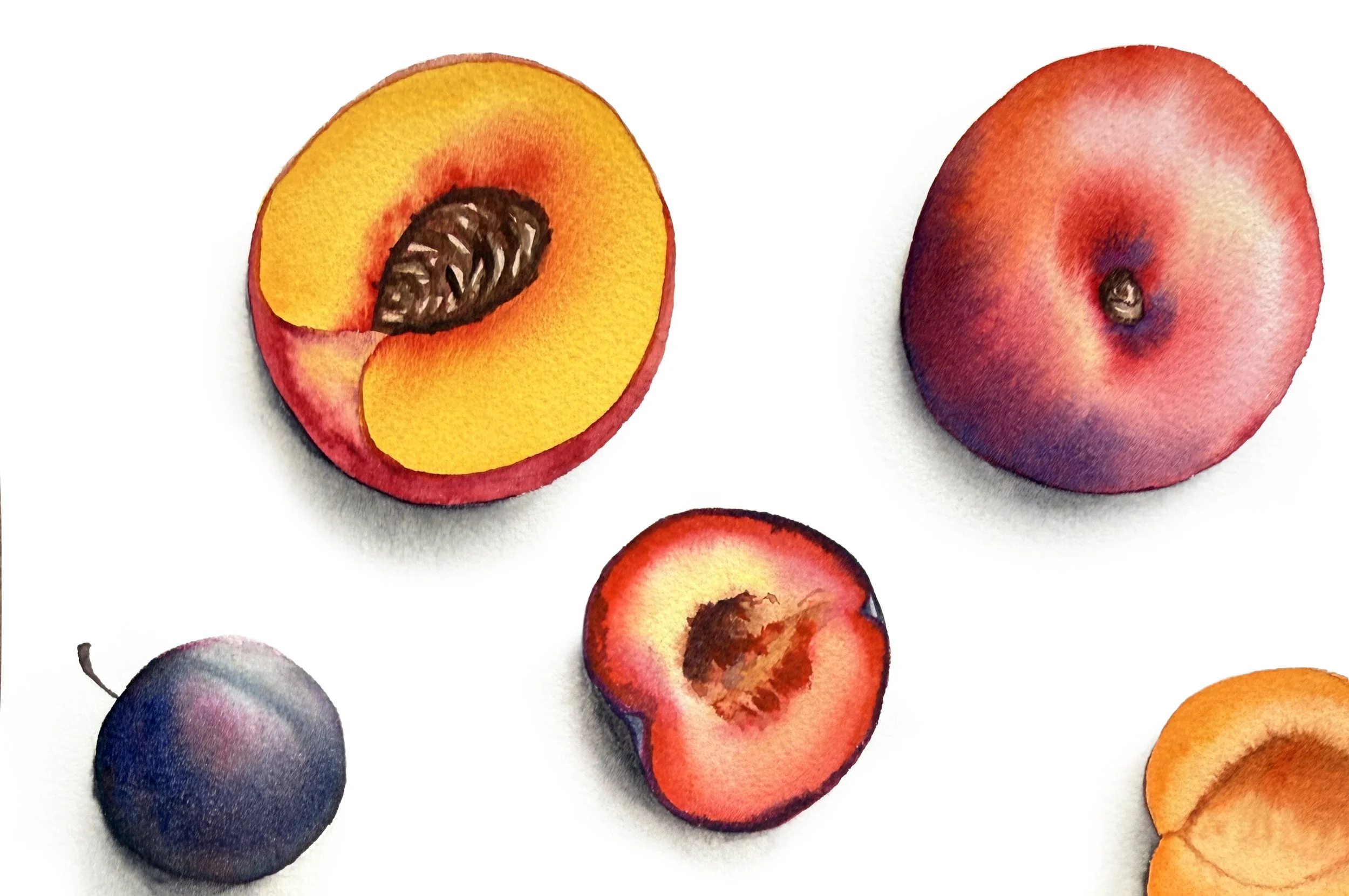 Peaches