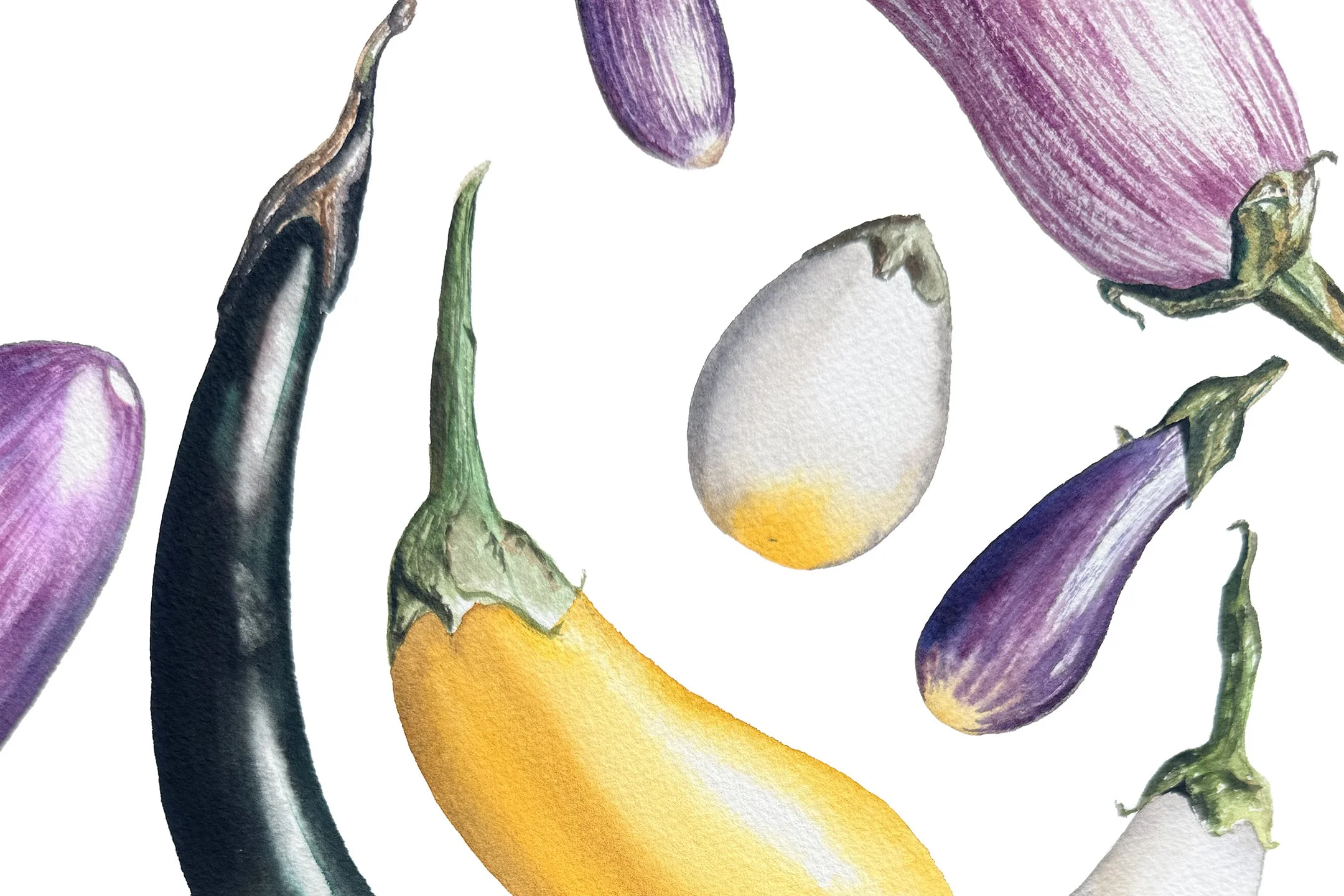 Eggplants