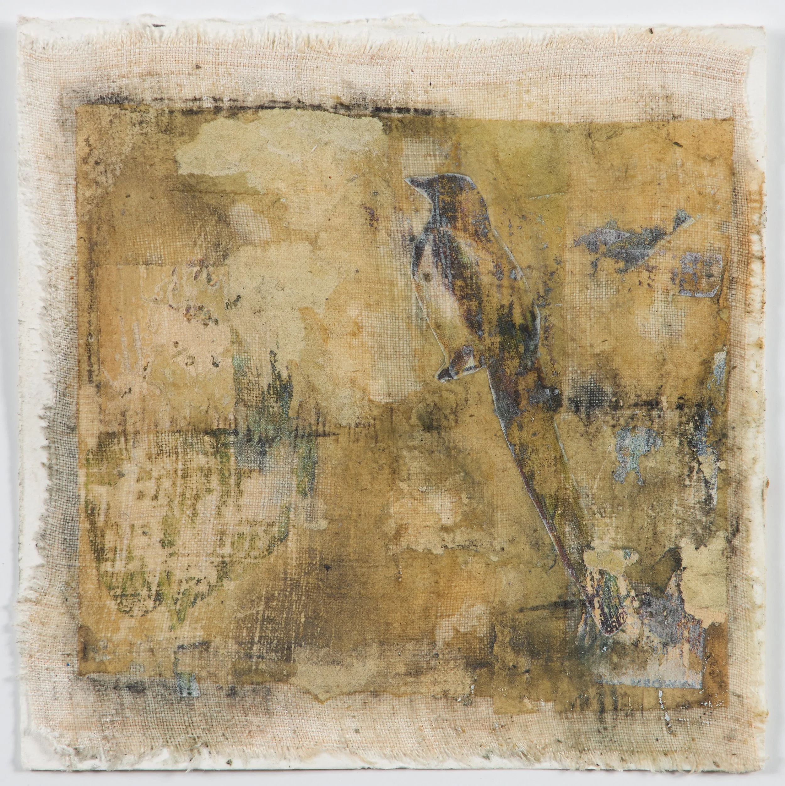 Untitled 6x6 _3924.jpg