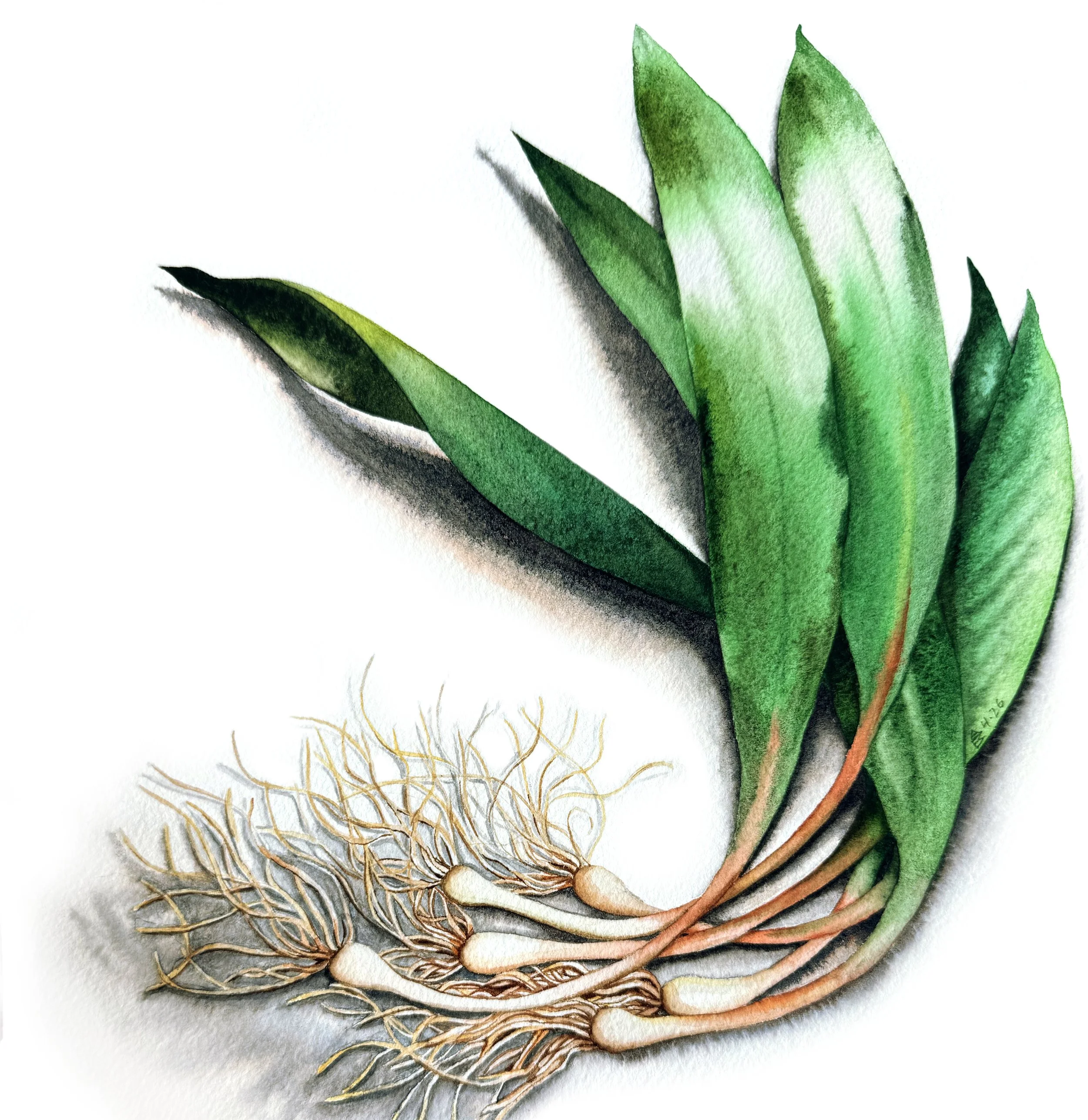 Ramps