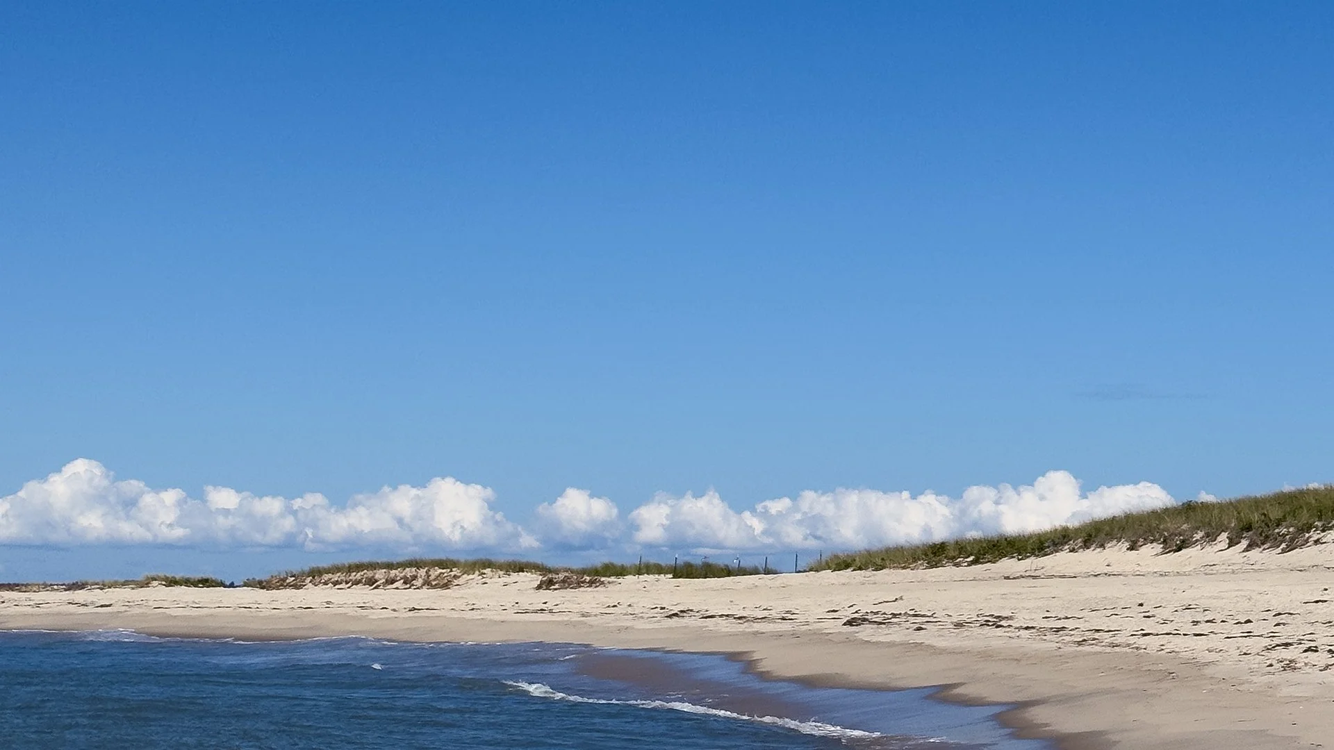 ack beach smithspt?IMG_0791-SS-2.jpg