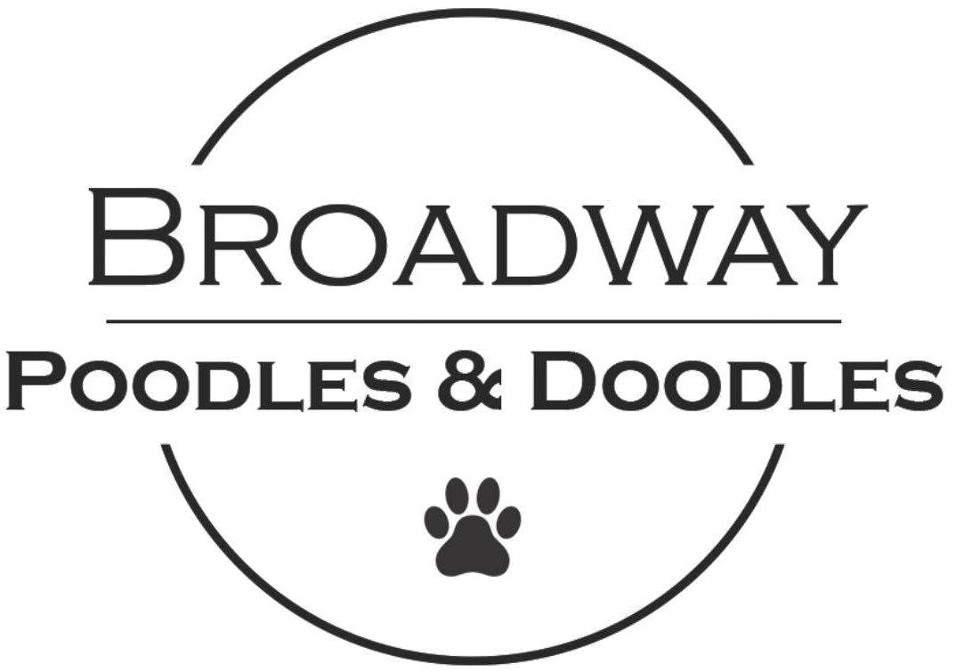 Broadway Poodles &amp; Doodles