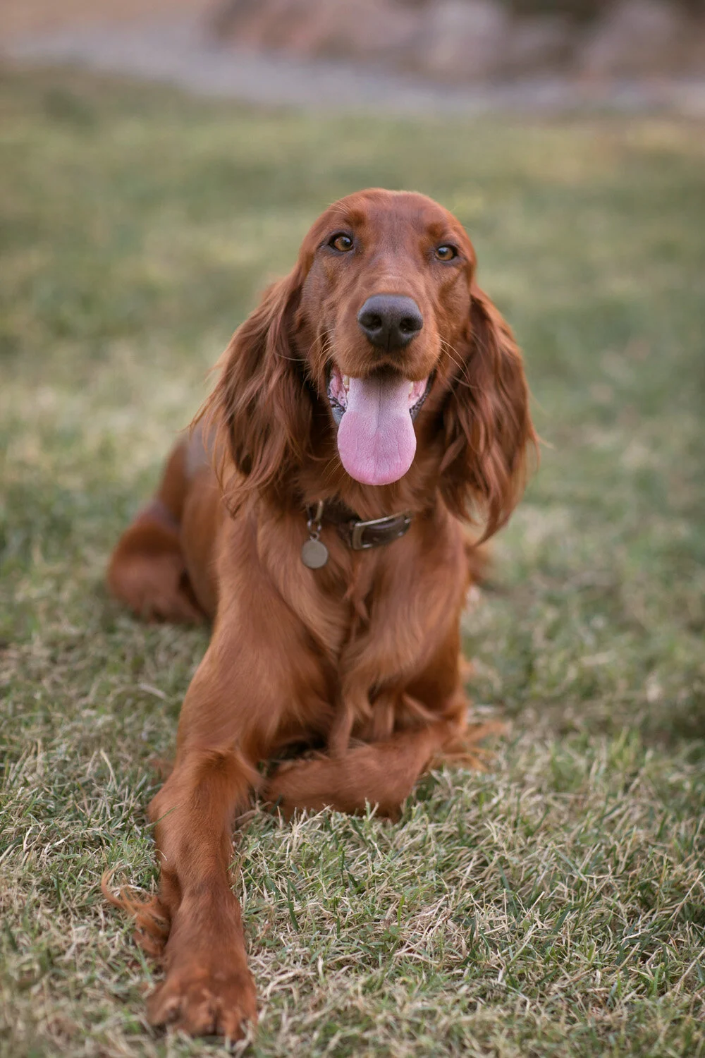 Penny
