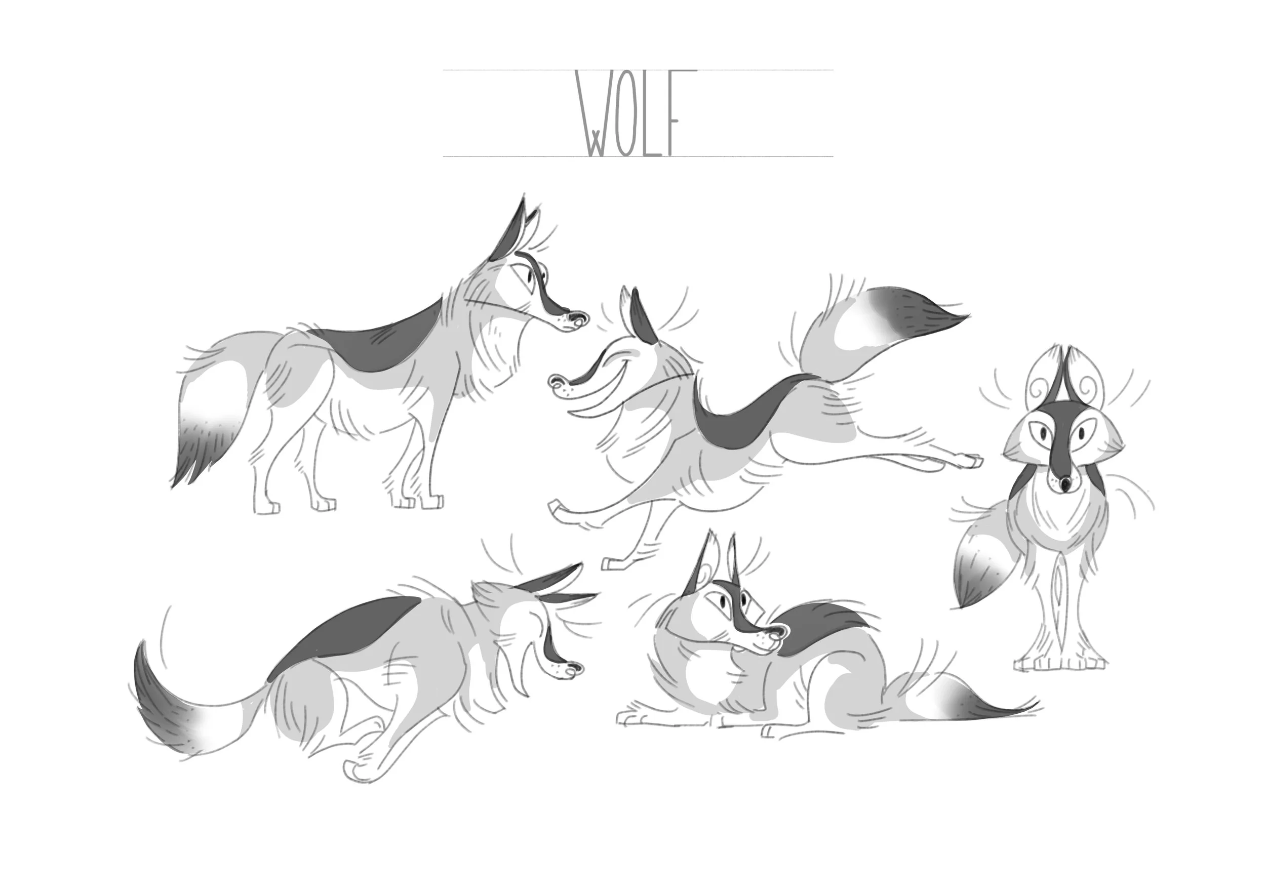 240527-WOLF.jpg
