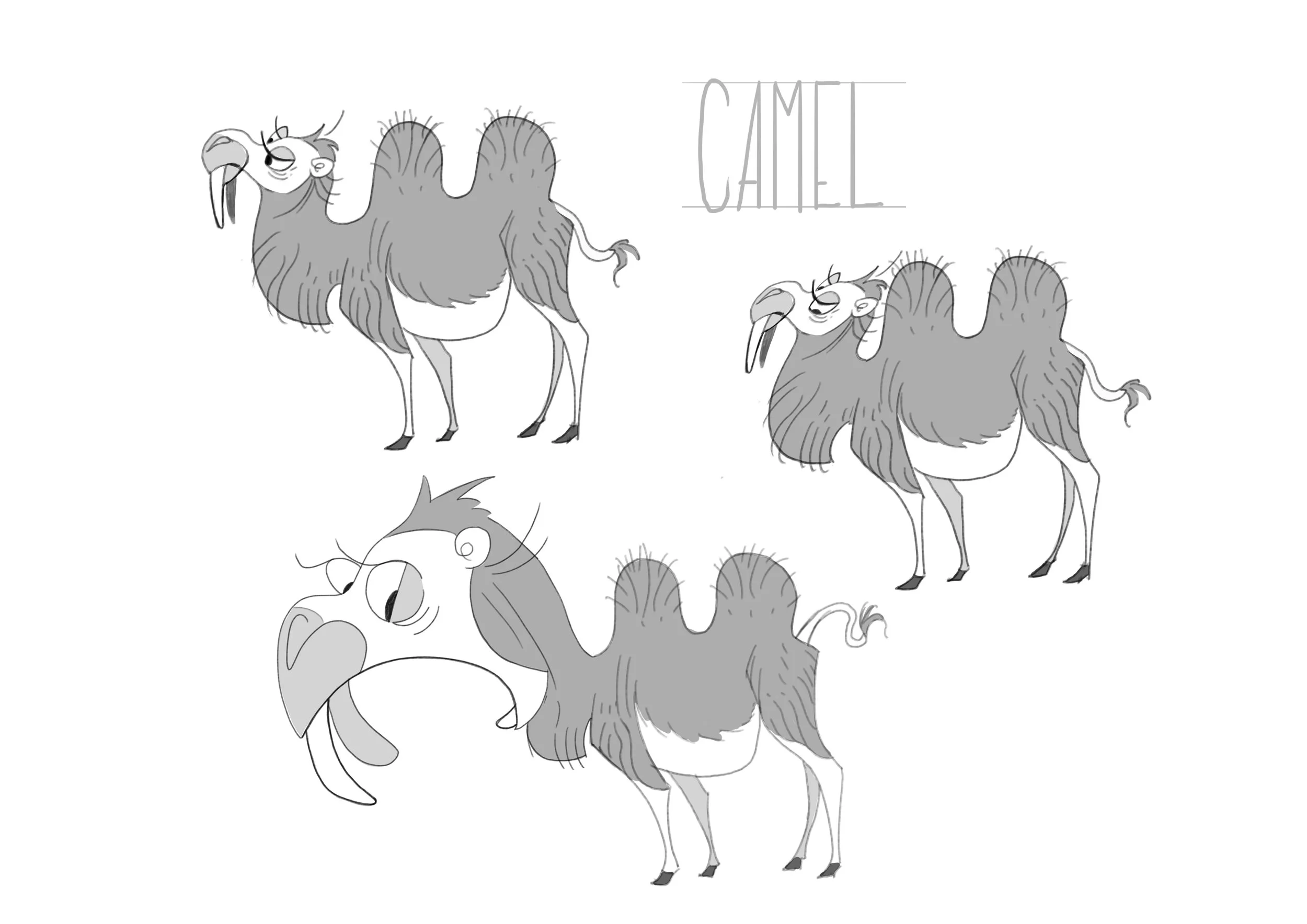 240508-All-Camel.jpg