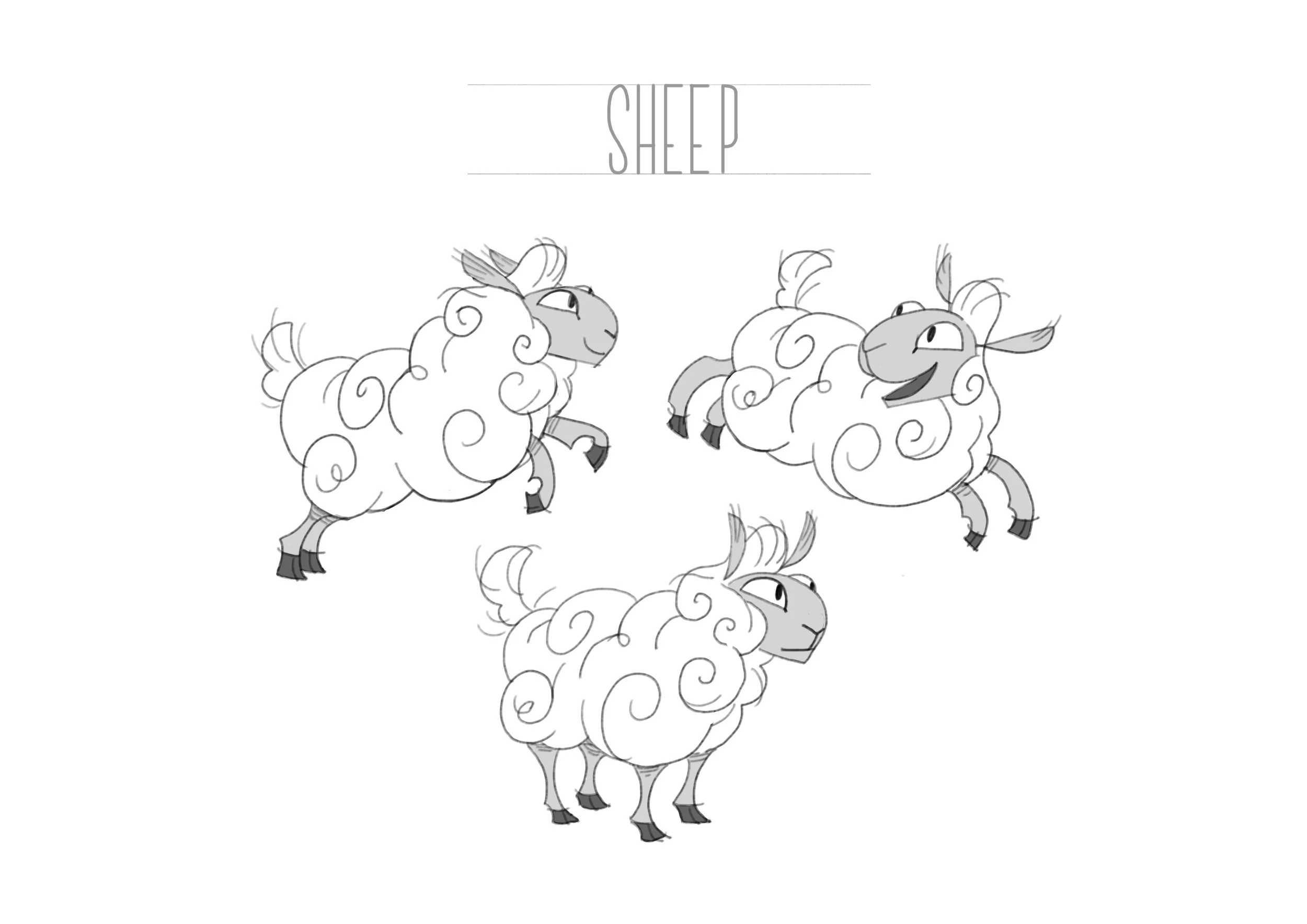 240530-SHEEP.jpg