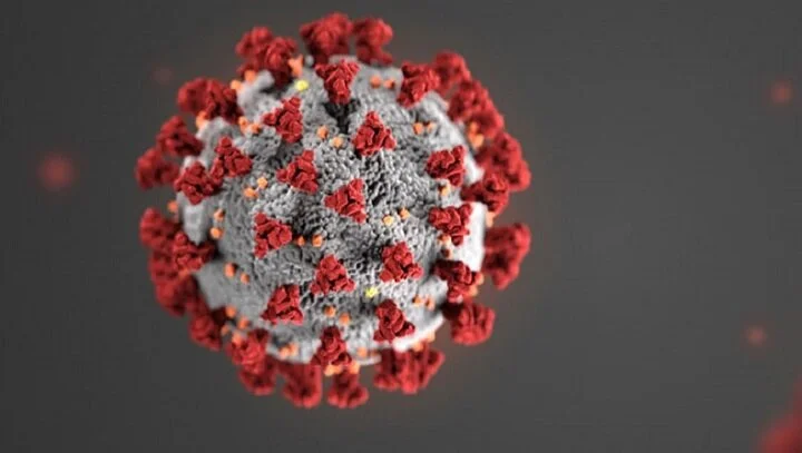 Coronavirus Containment Measures Raise International Human Rights Concerns