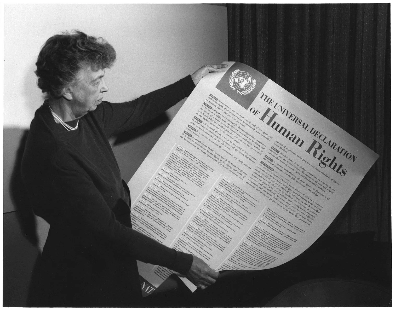 The UDHR in 2021 and Beyond: Its Implications in the Digital Age