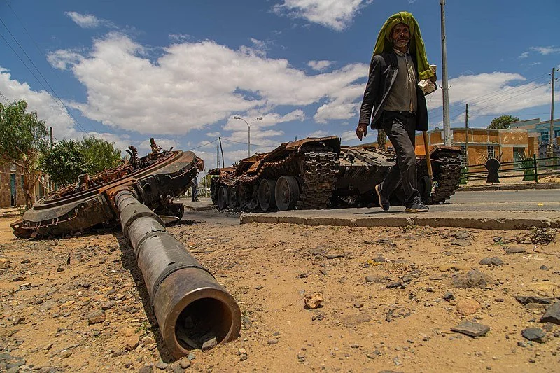 Turn the R2P Around: Eritrea’s Intervention in Ethiopia