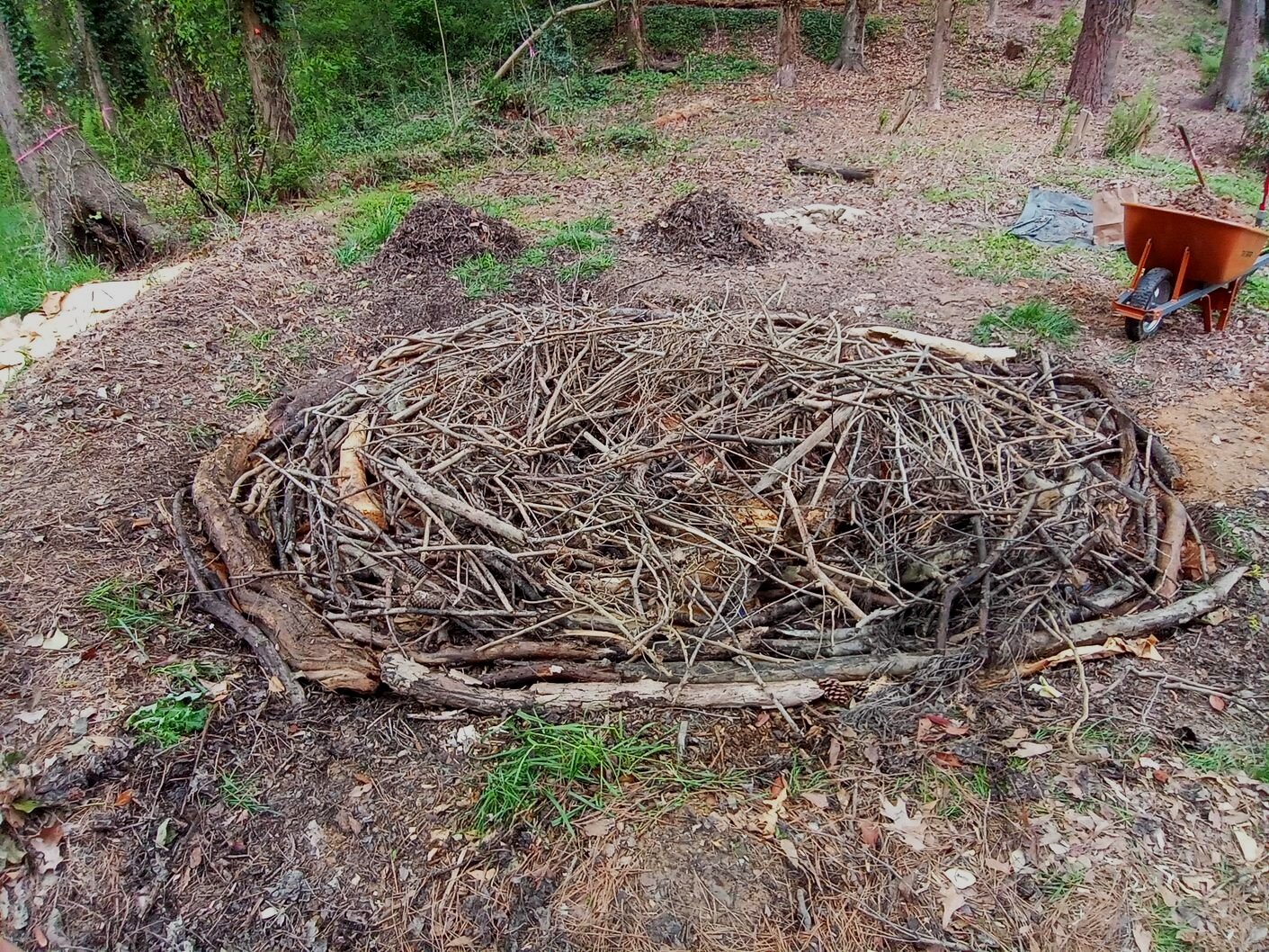 As the wood decomposes, the rain bed will sink into a bowl shape. 