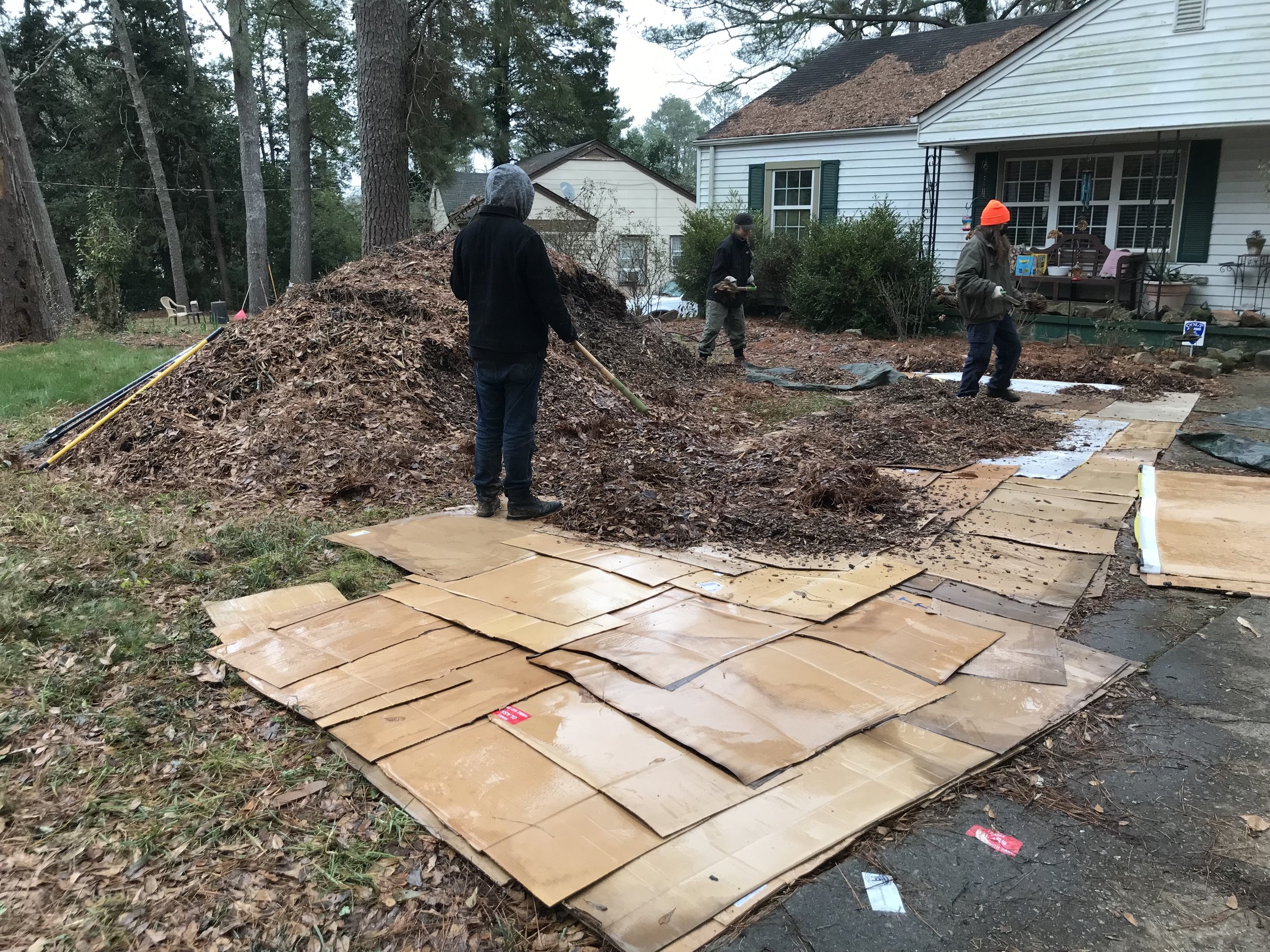  Sheetmulching aggressive herbaceous invasive plants, such as liriope, prevents damage that causes erosion by eliminating the need for most digging. 