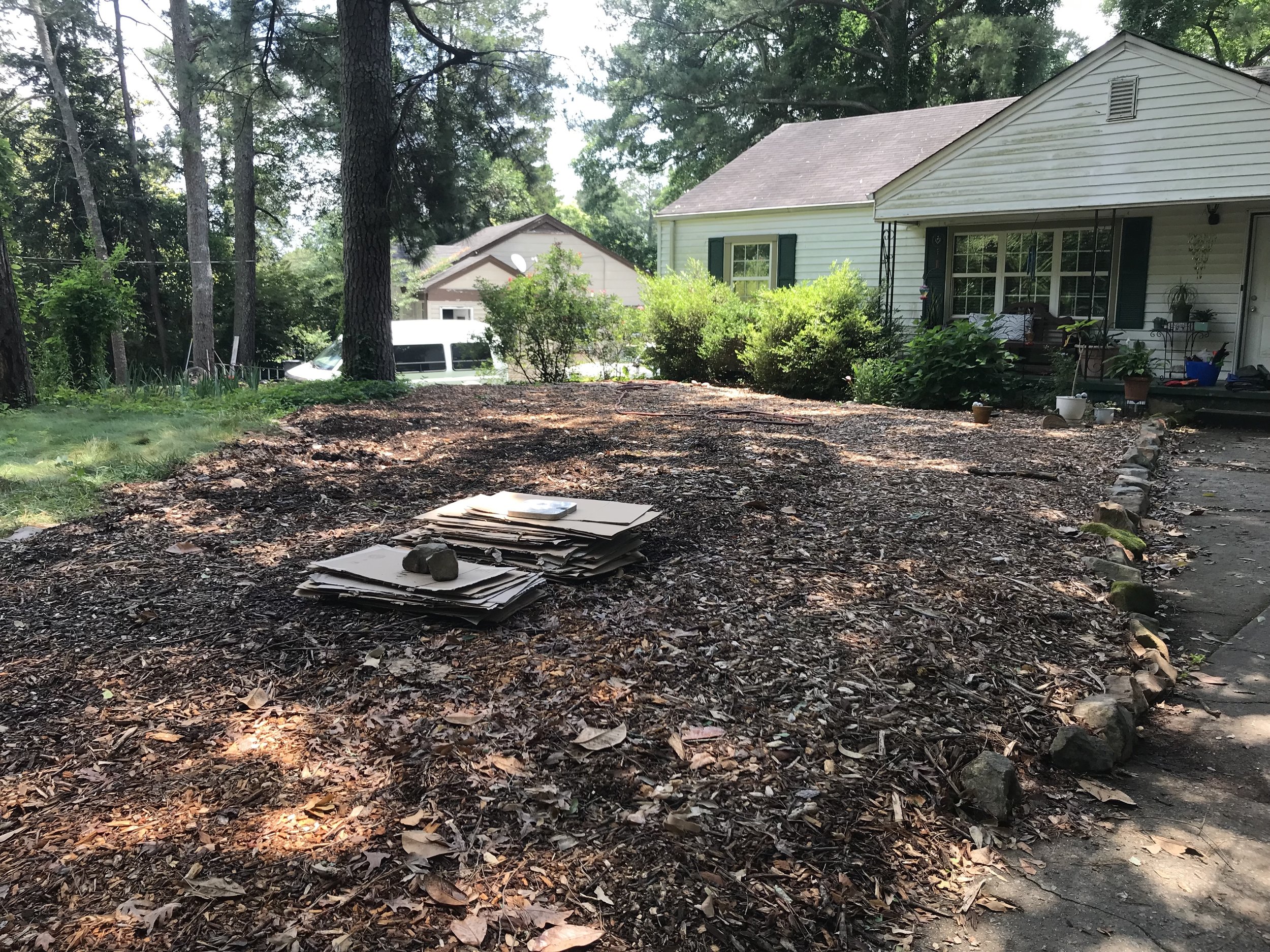  Once the targeted invasive species is sheetmulched, meadow preparation and plant installation can begin. 