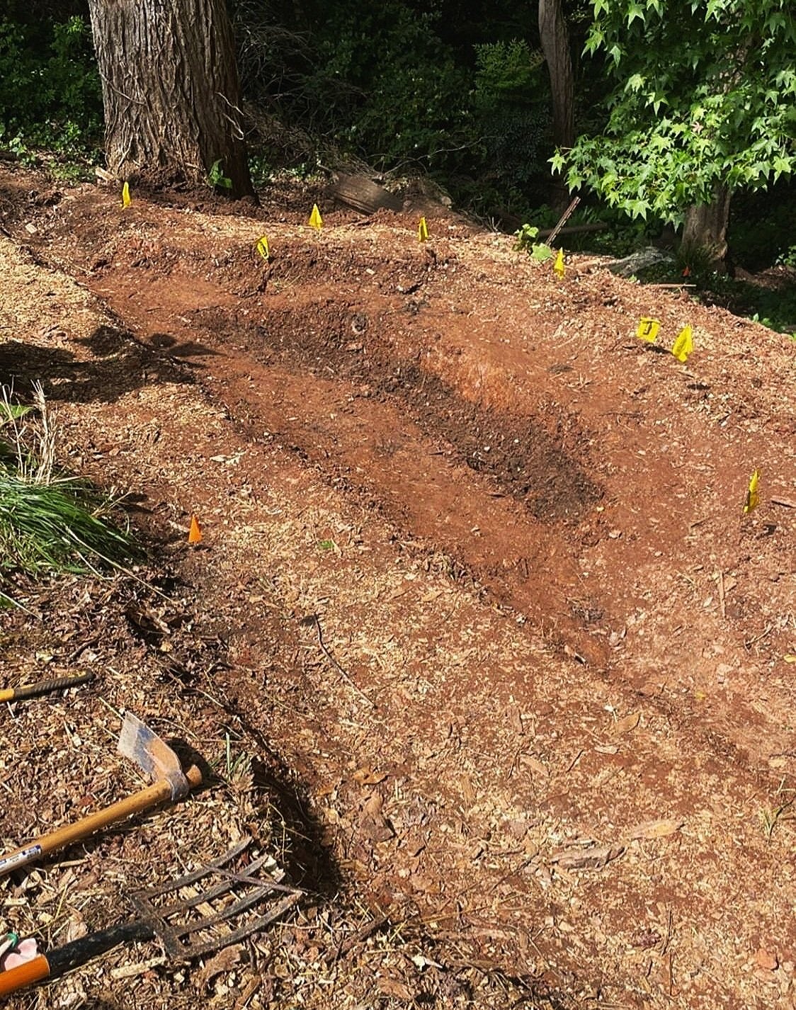  Each swale is shaped to accumulate and recharge the water table before overflowing into the next terrace. 