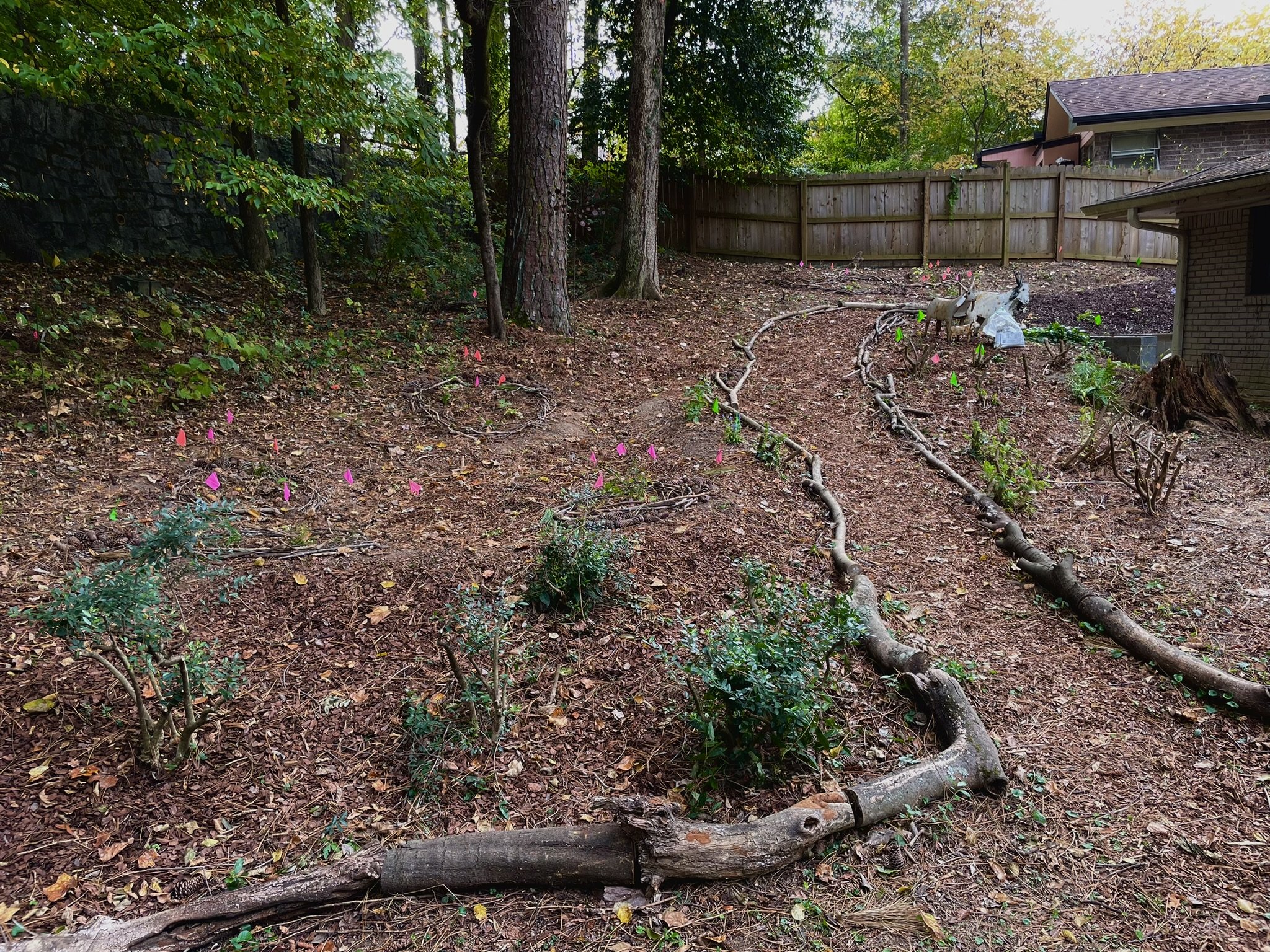  Path edging ensures walkways are defined so that newly installed native plants and seeded areas can grow in with minimal disturbance, and fragile areas remain intact. 