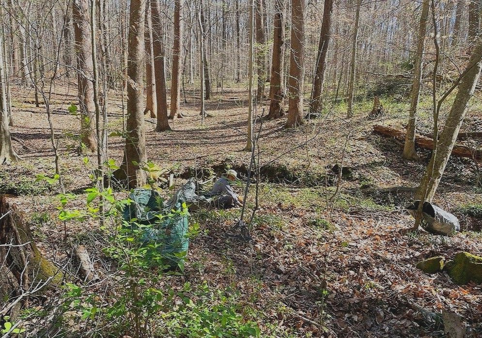  Careful hand removal of invasive plants allows us to selectively preserve the native plant populations. 