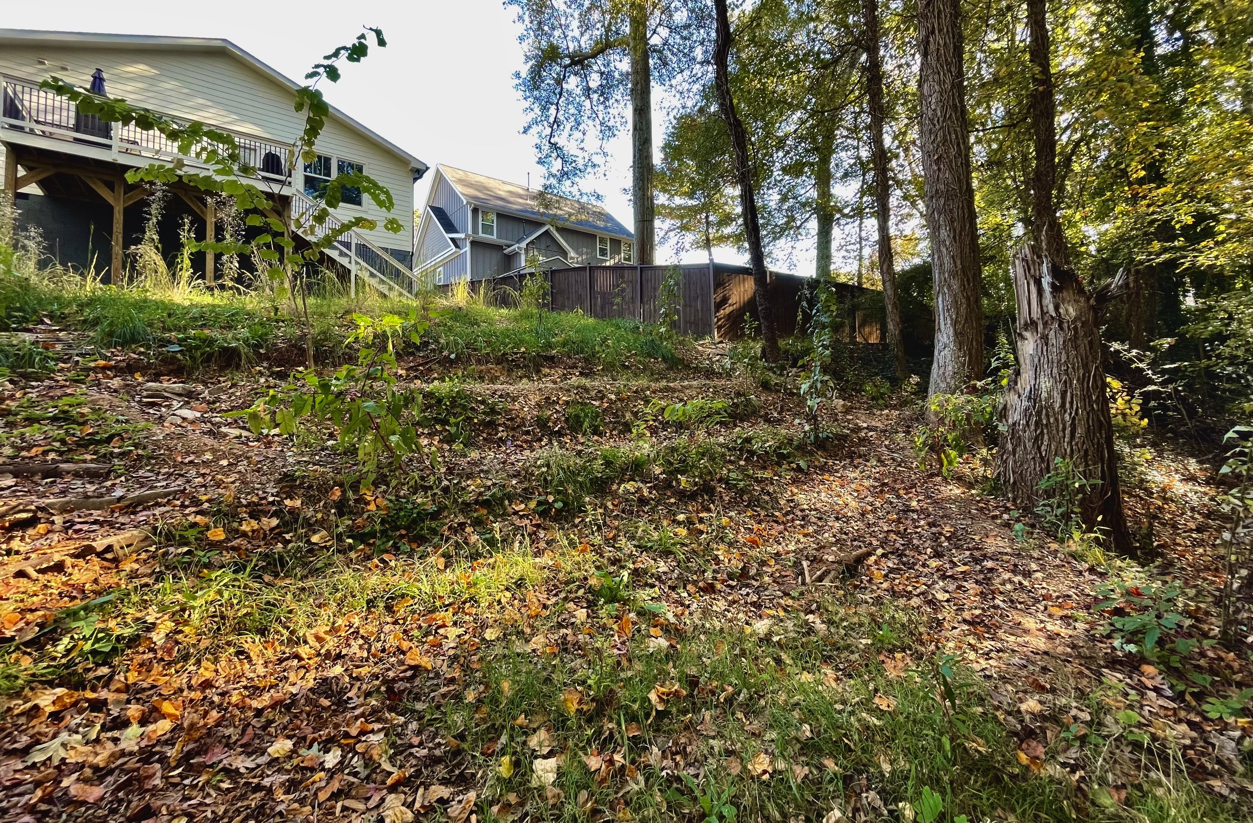  2 months after terrace completion, installation and 2 applications of seed shows robust colonization with native plant communities. 