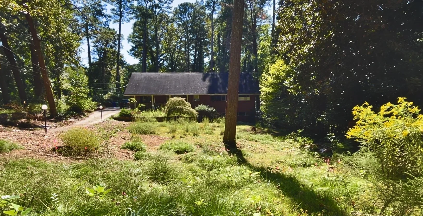  Cues can be as simple as targeted mowing, where certain plant clusters are left untouched, resulting in plenty of site access while highlighting different native plant populations. 