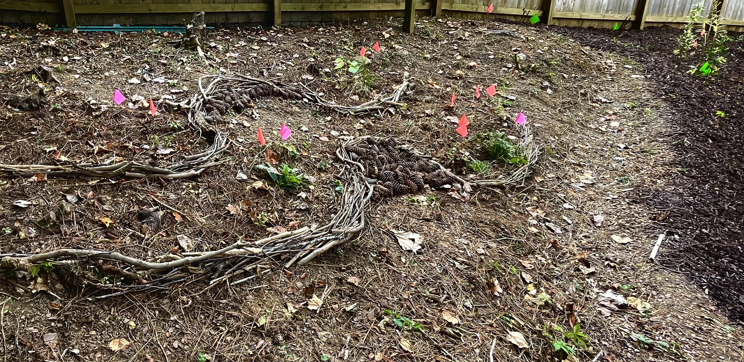  Often, cues are natural constructions, taking their inspiration from the unique textures and shapes of the site’s ecology. 