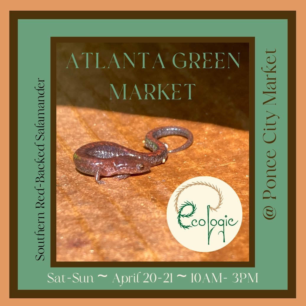 Come see us for the Atlanta Green Market at PCM this Saturday and Sunday, April 20th &amp; 21st! 
We will be be tabling from 10AM to 3PM at The Shed, handing out elderberry stakes, providing freshly cut invasive species to speak on, and more!