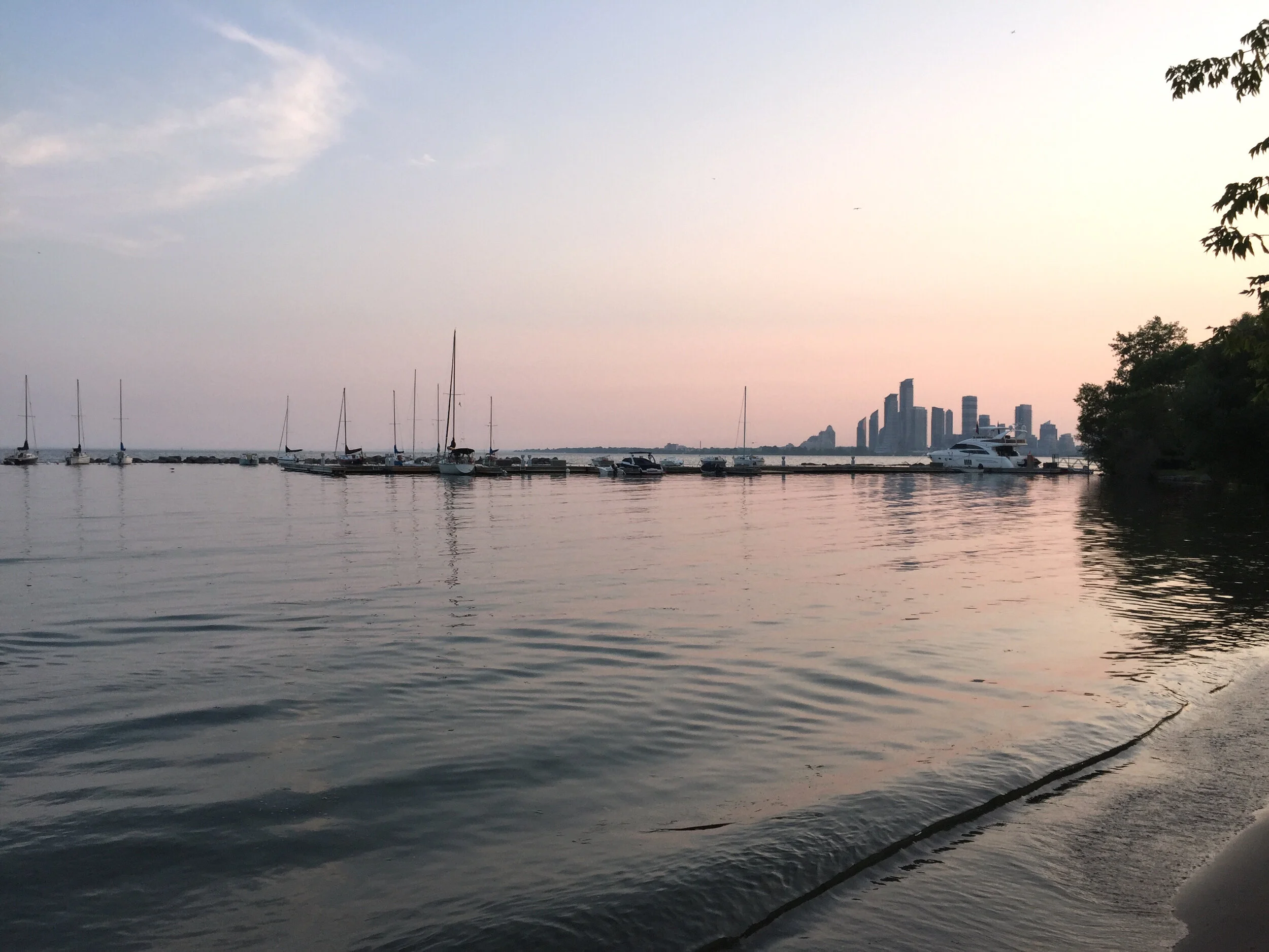 VITAMIN D &amp; FERTILITY