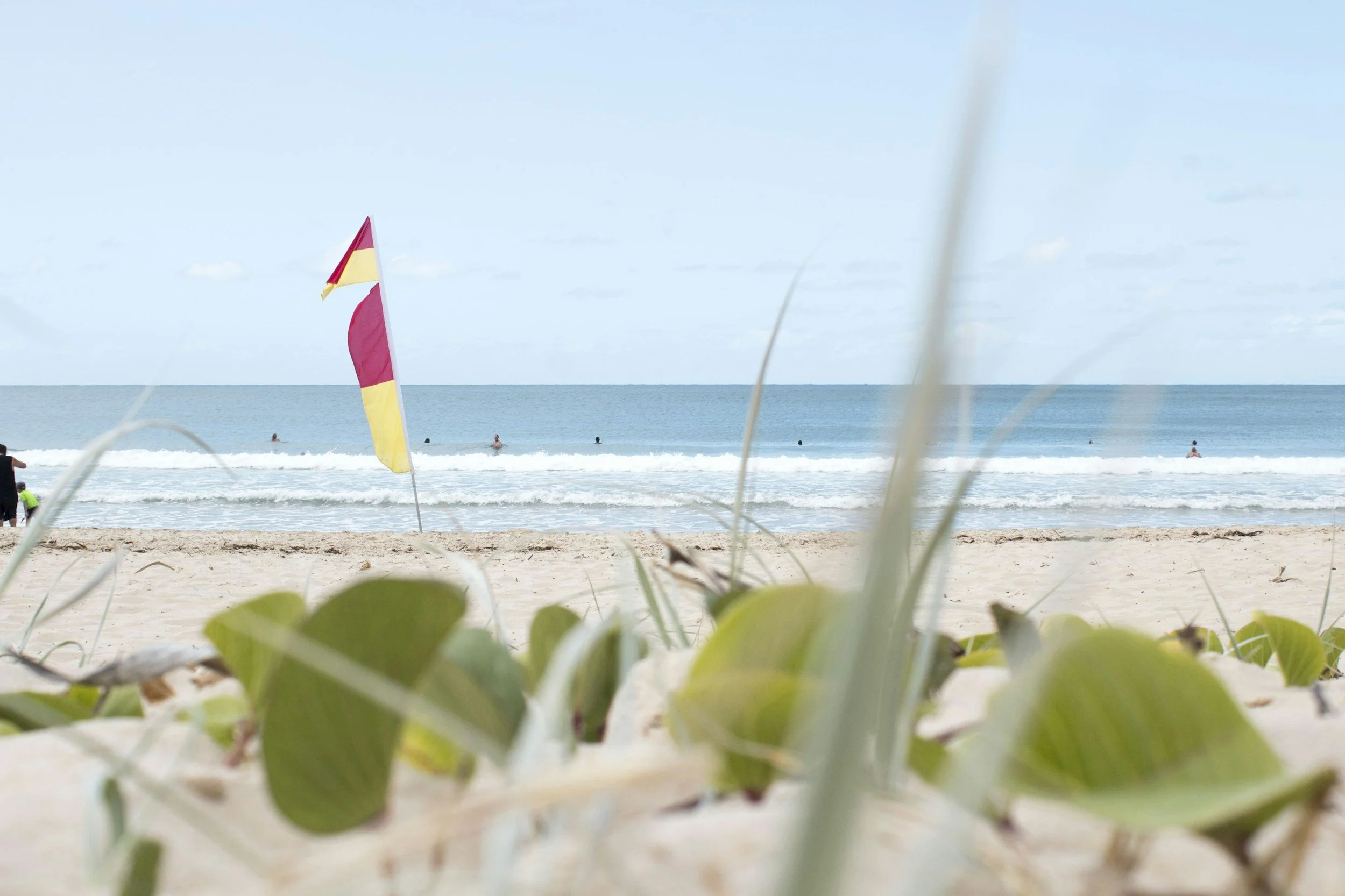 Sunscreens &amp; Sun Safety