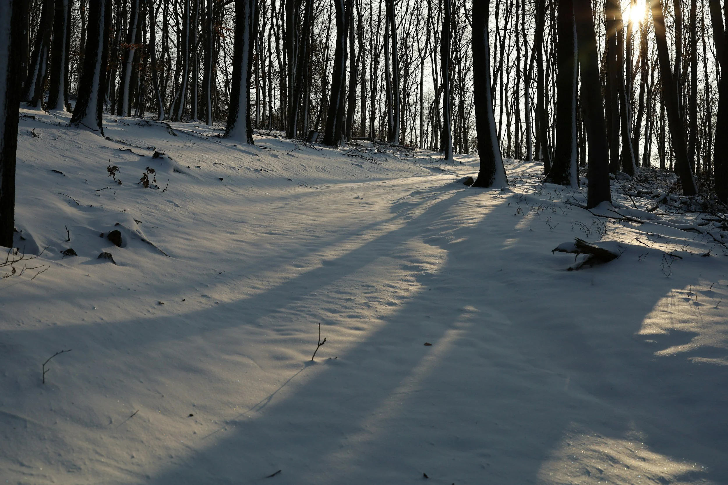 Befriend Your Fear… and ACT!