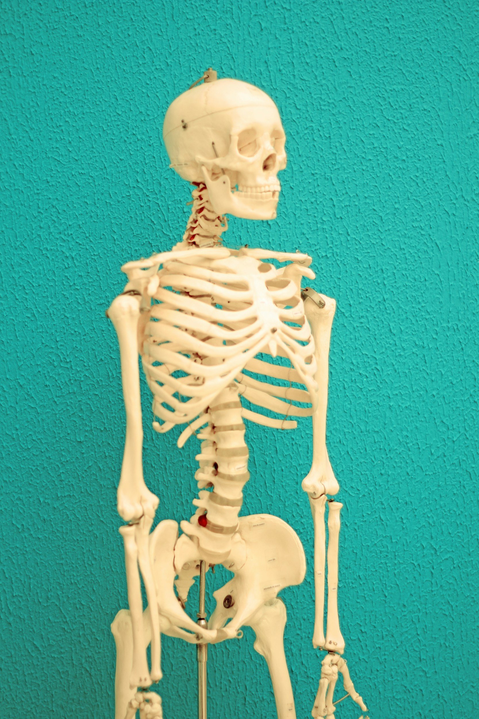 Should I be tested early for Osteoporosis?