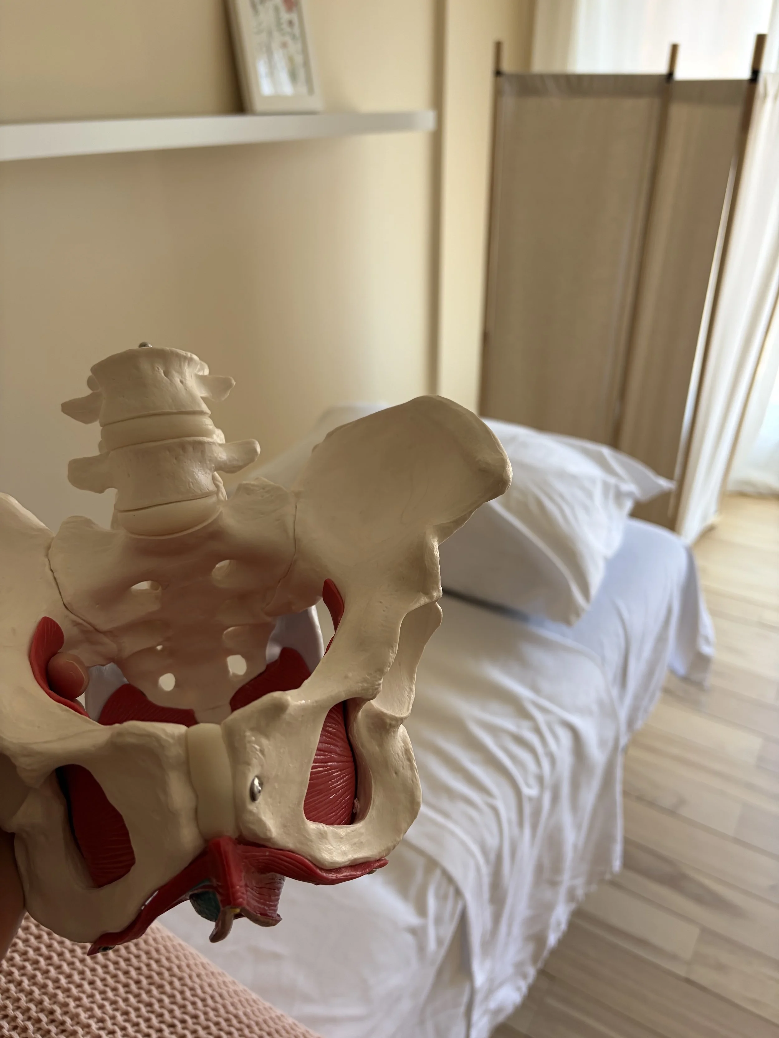 Osteopathy and Pelvic Pain