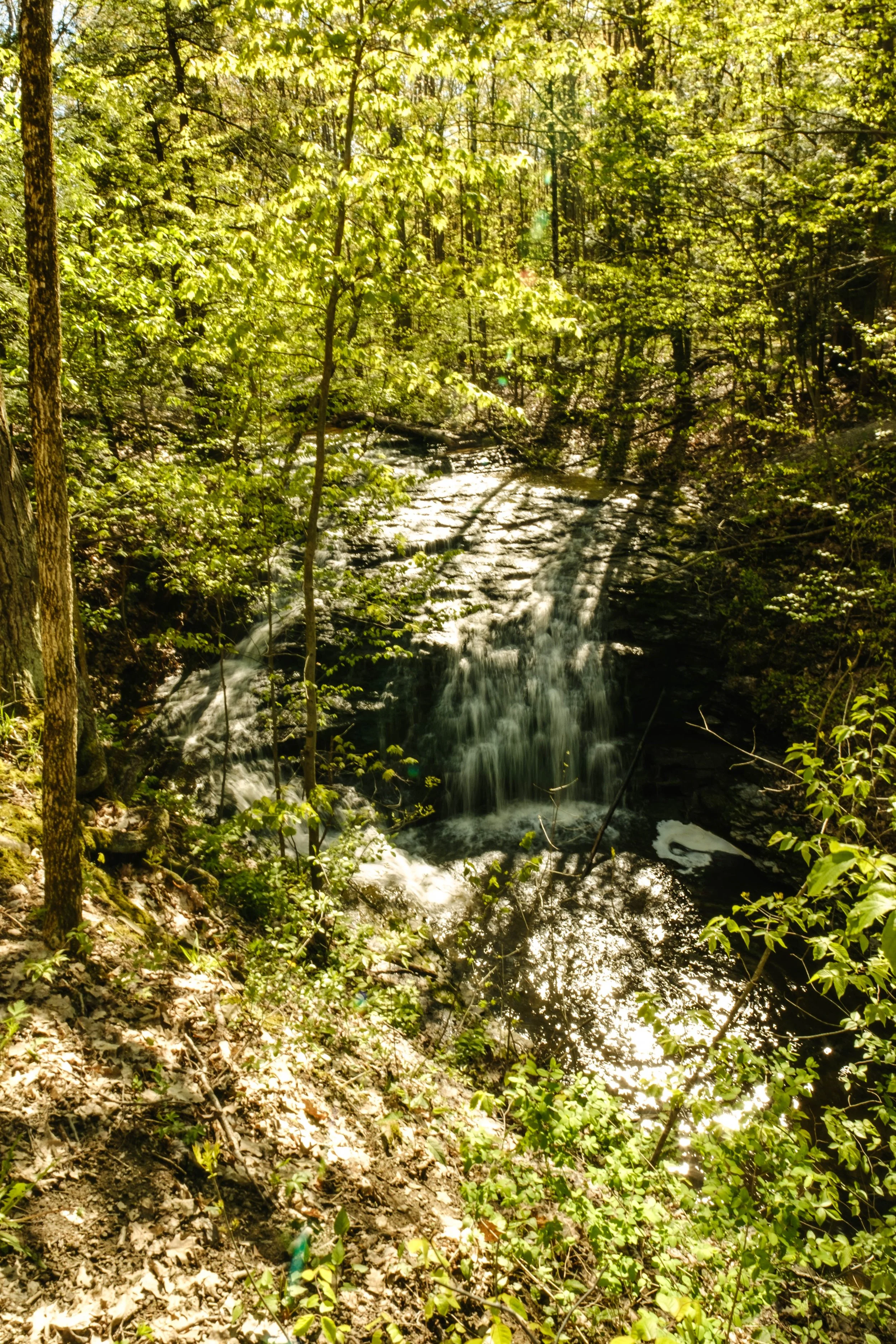 DSCF9496.jpg
