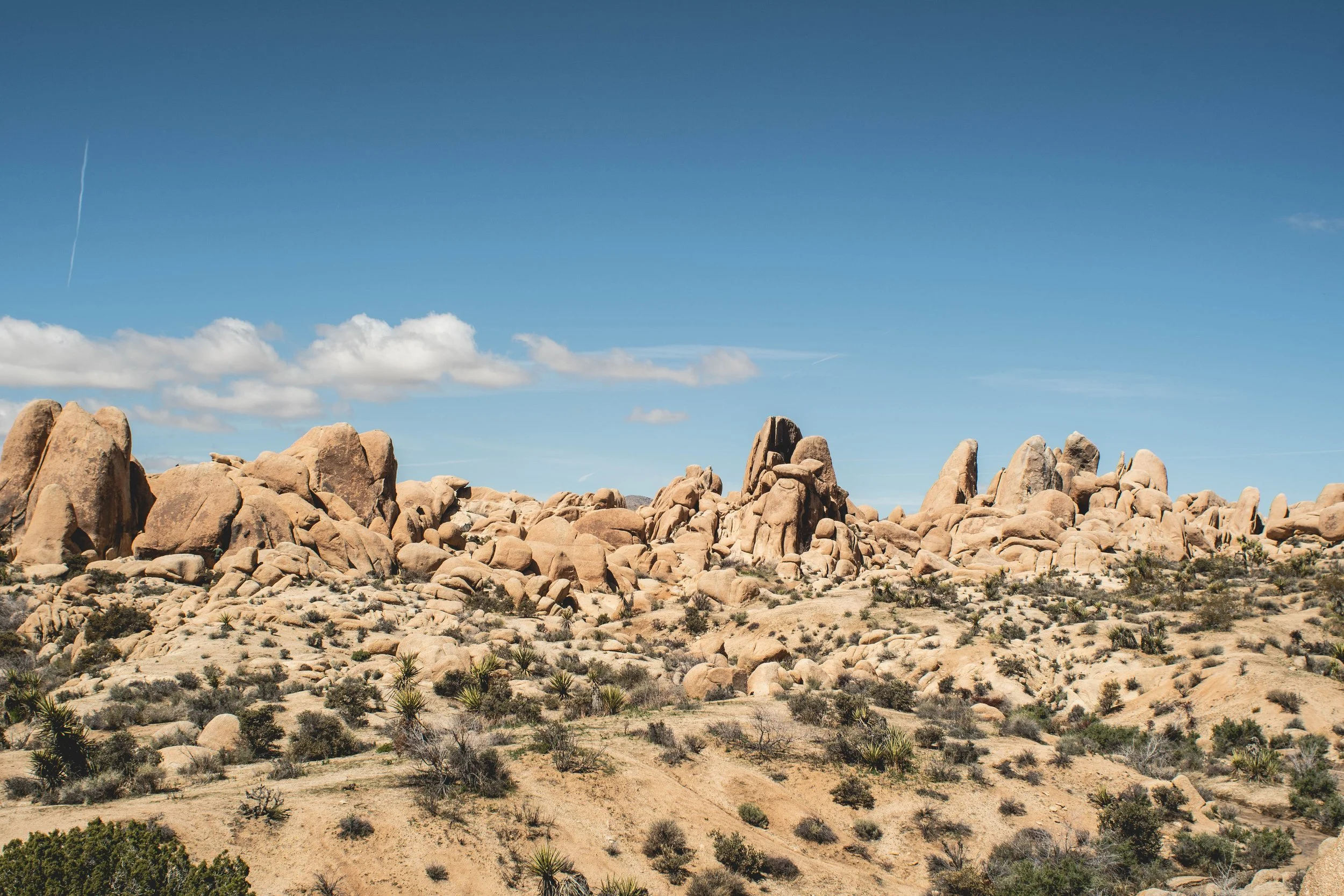 DSC_1661.jpg