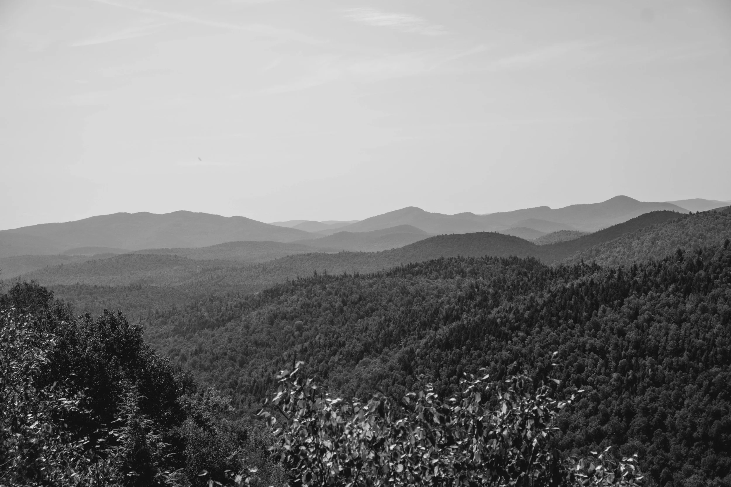 DSCF4282.jpg