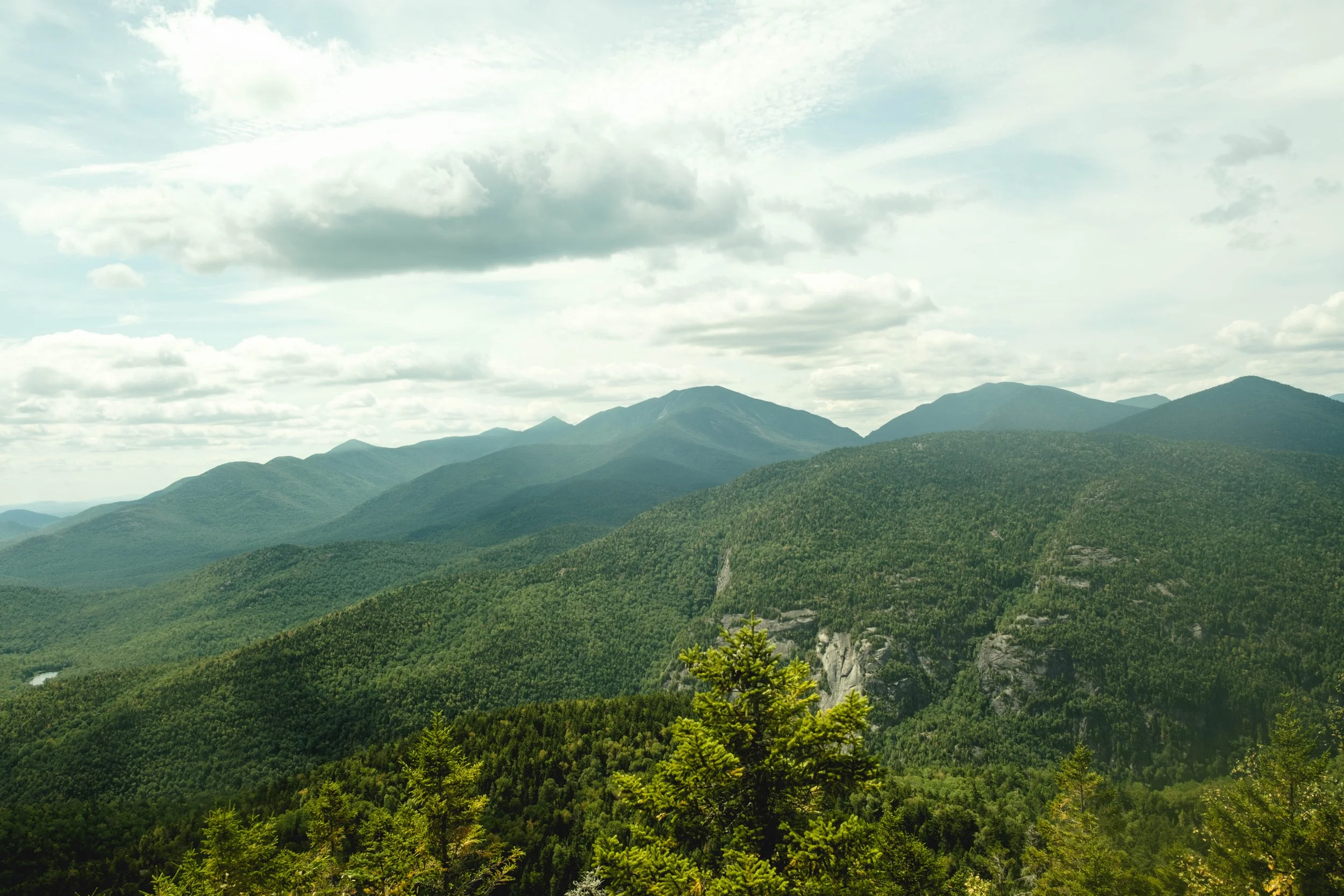 DSCF4293.jpg