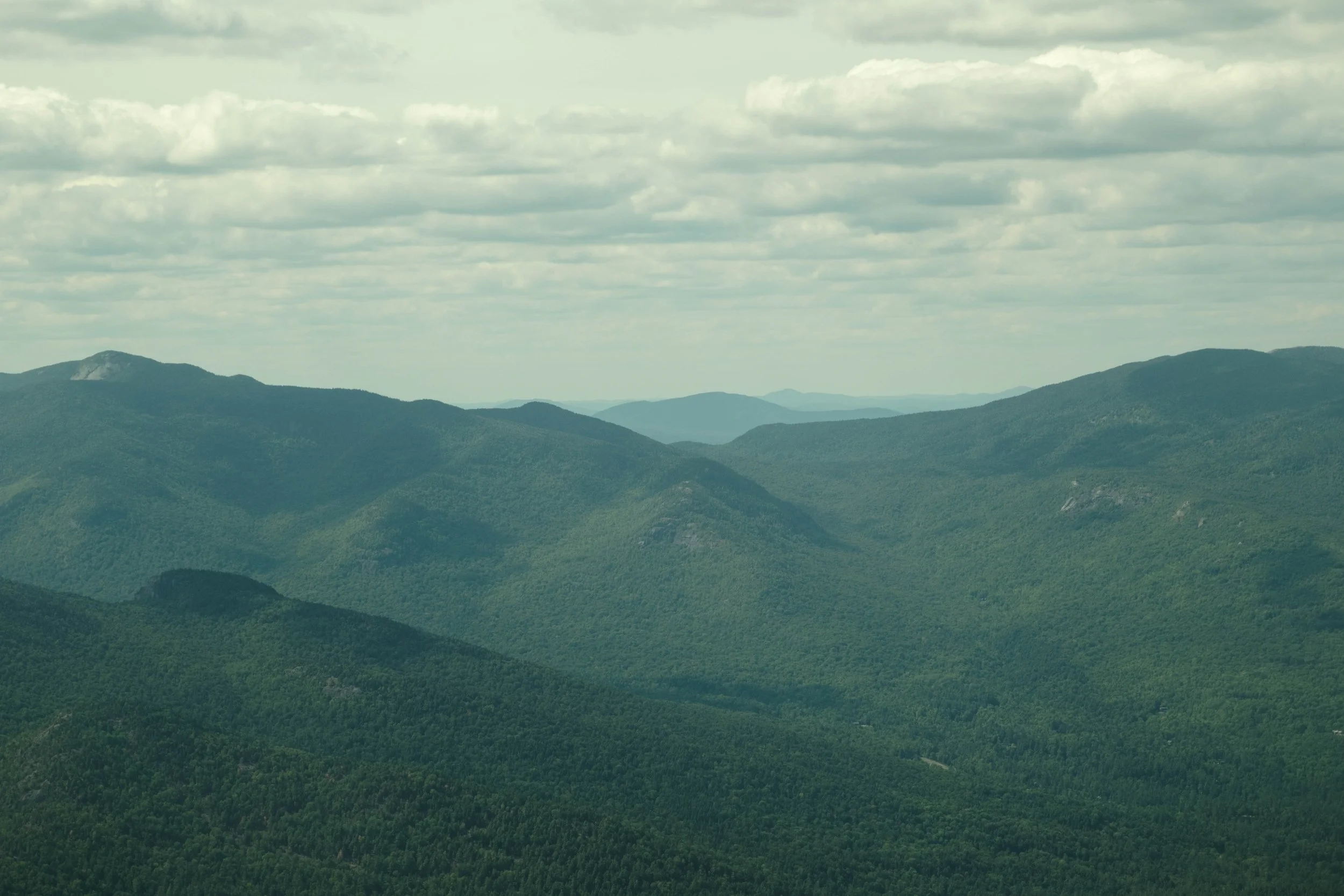 DSCF4309.jpg