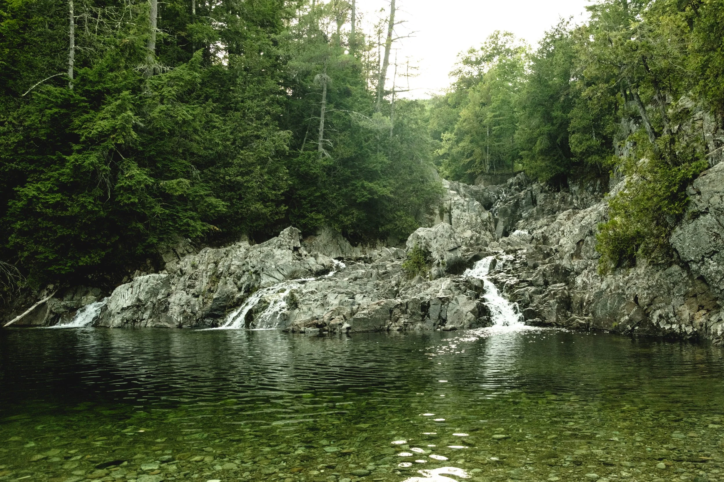 DSCF4315.jpg