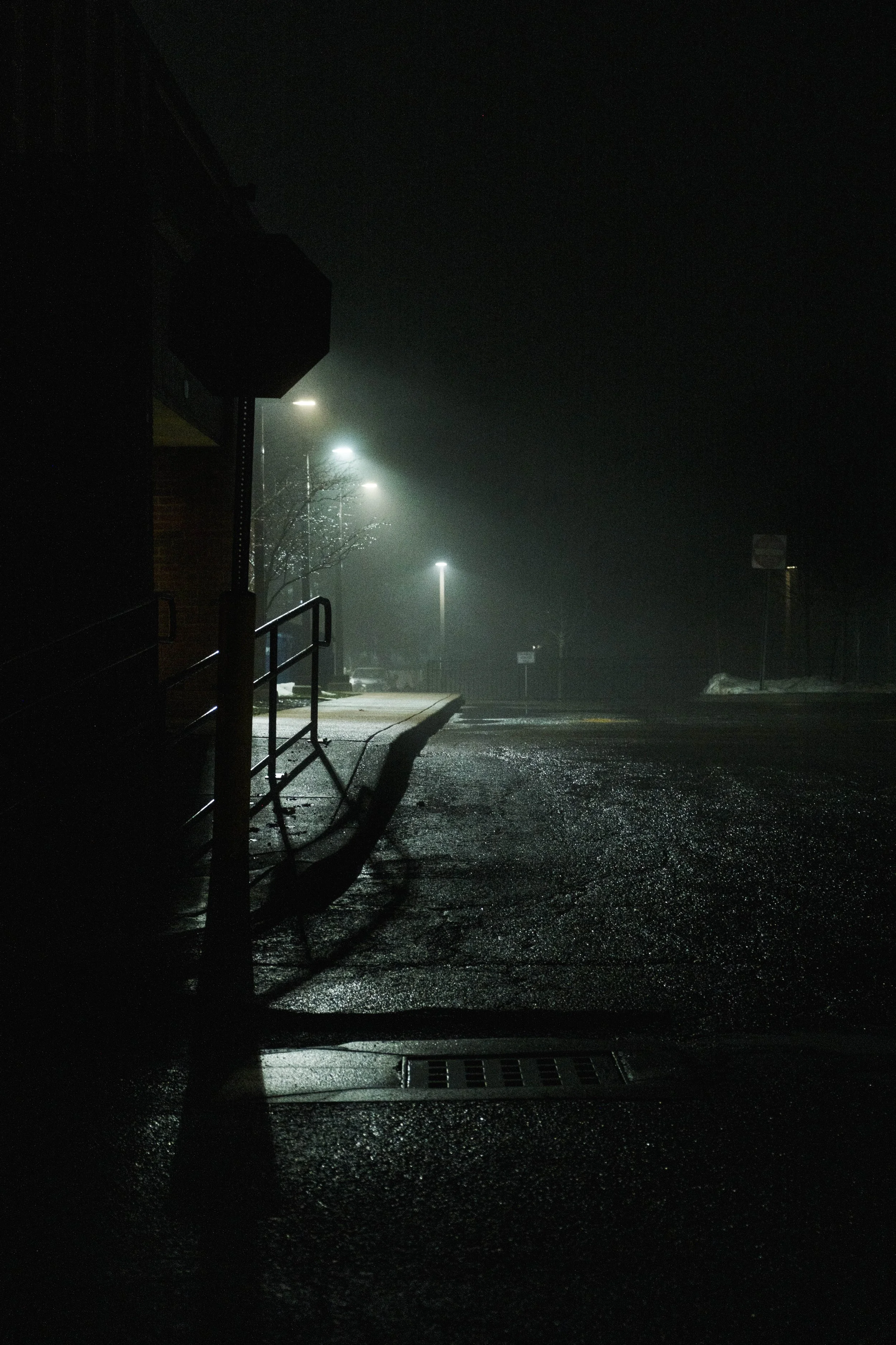 DSCF8370.jpg