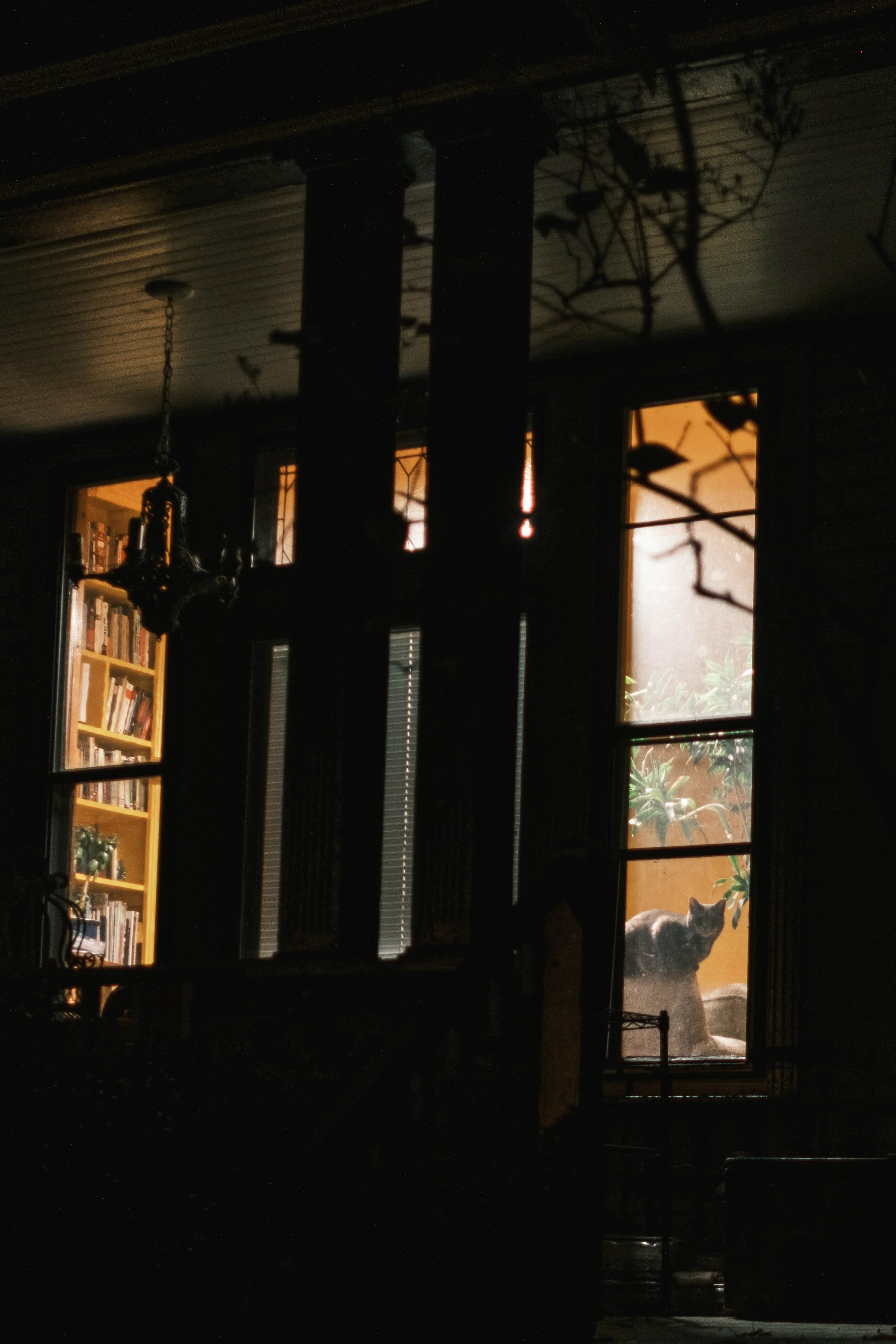 DSCF8320.jpg