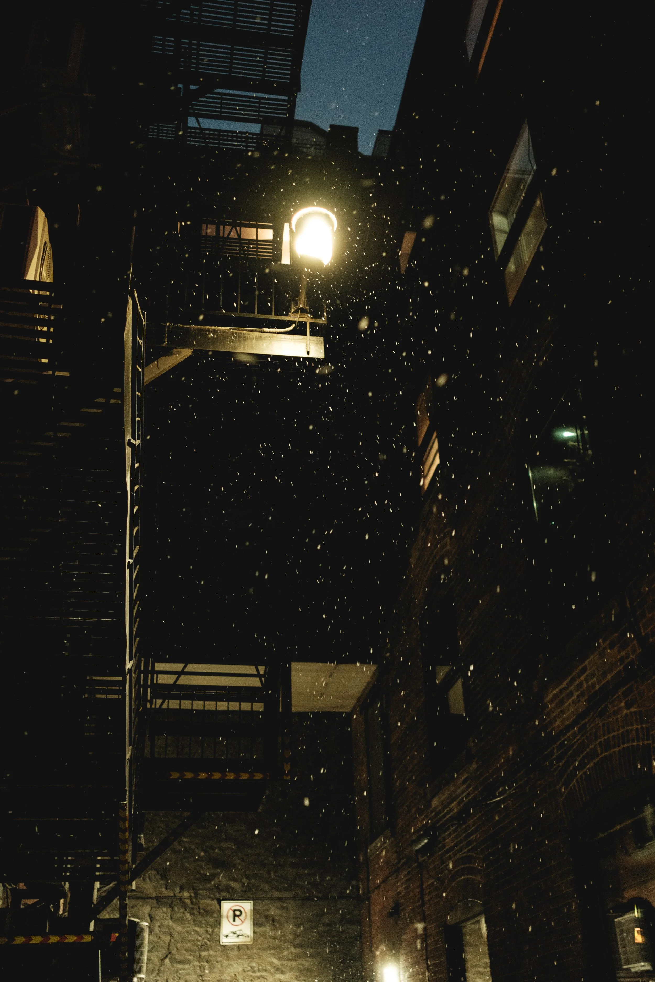 DSCF5059.jpg