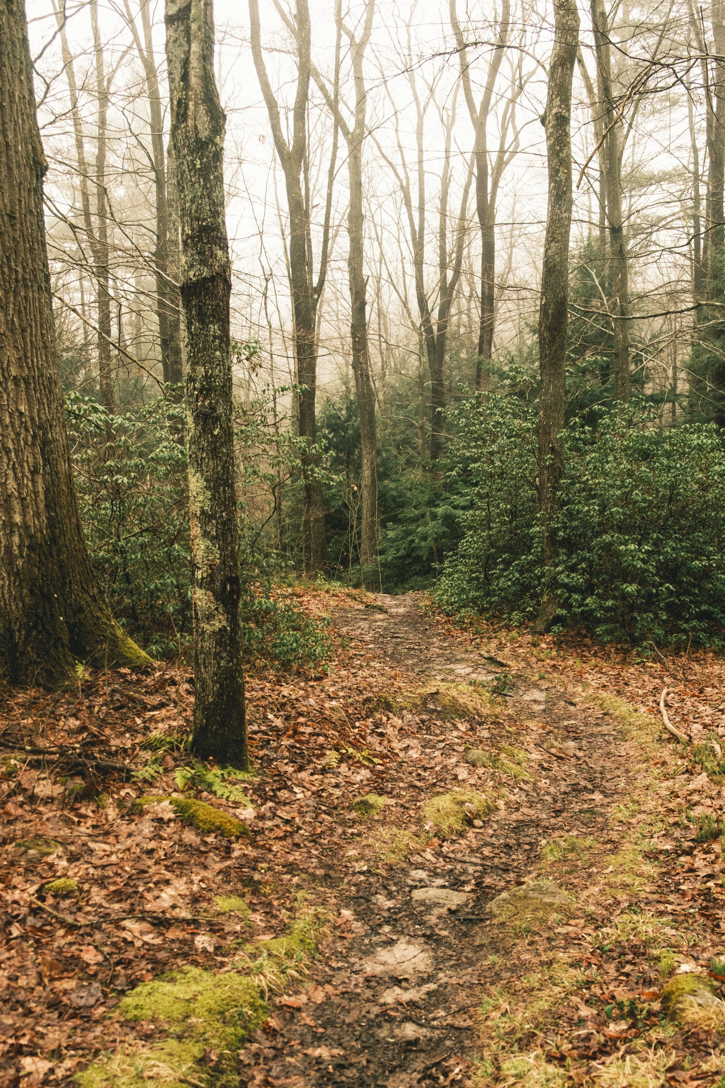 DSCF9512.jpg