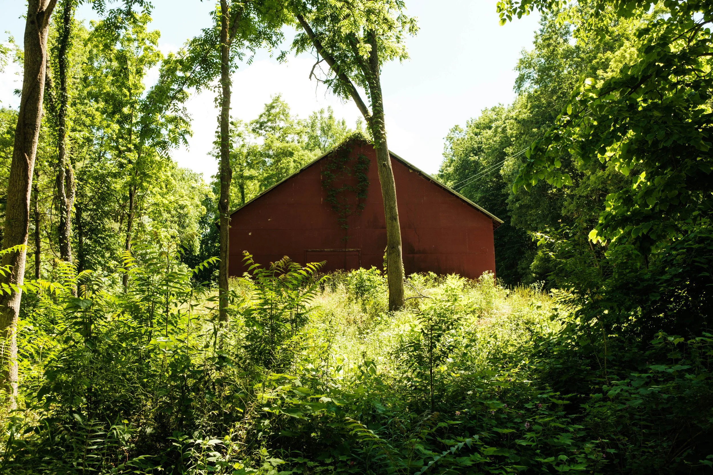 DSCF9239.jpg