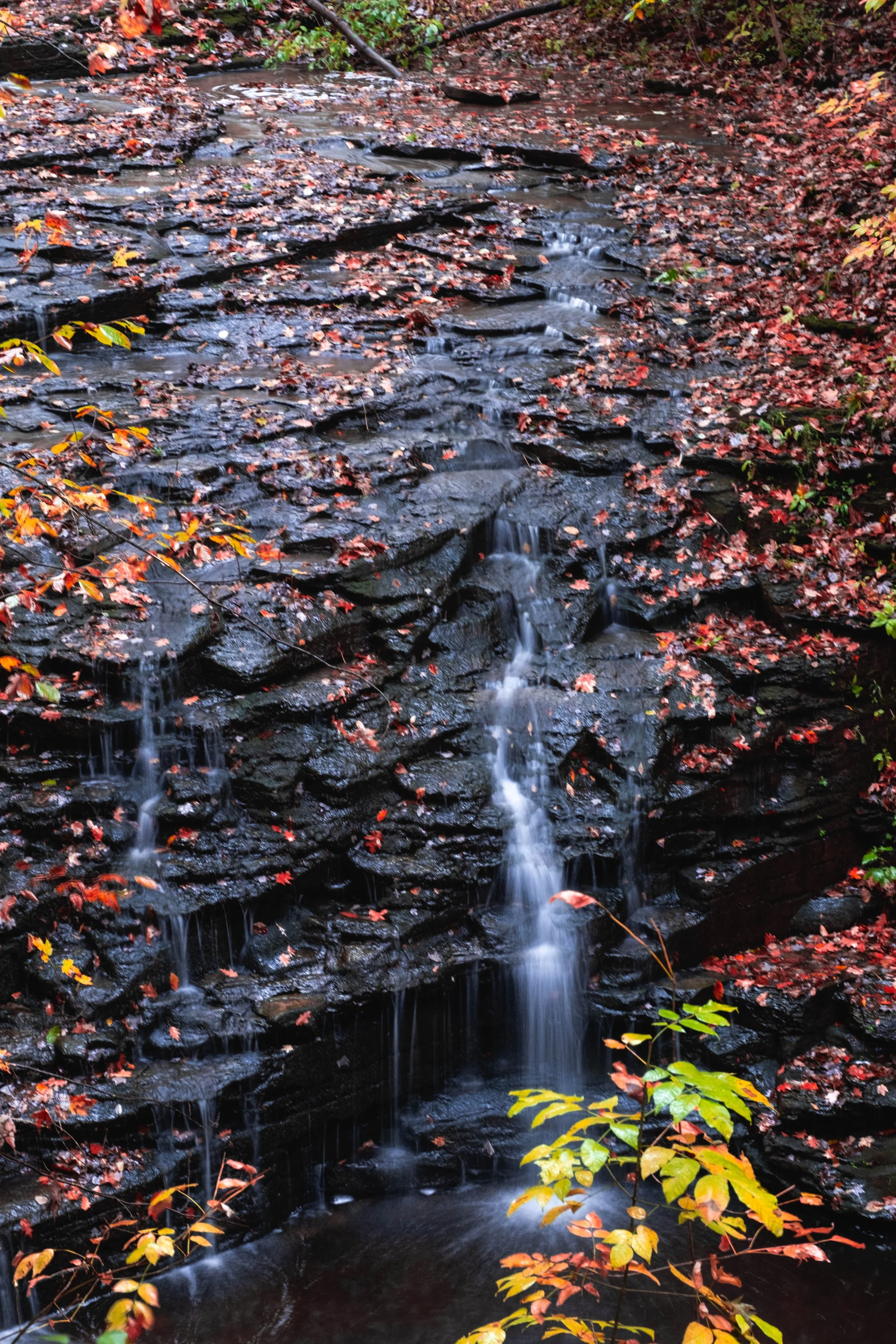 DSCF3474.jpg